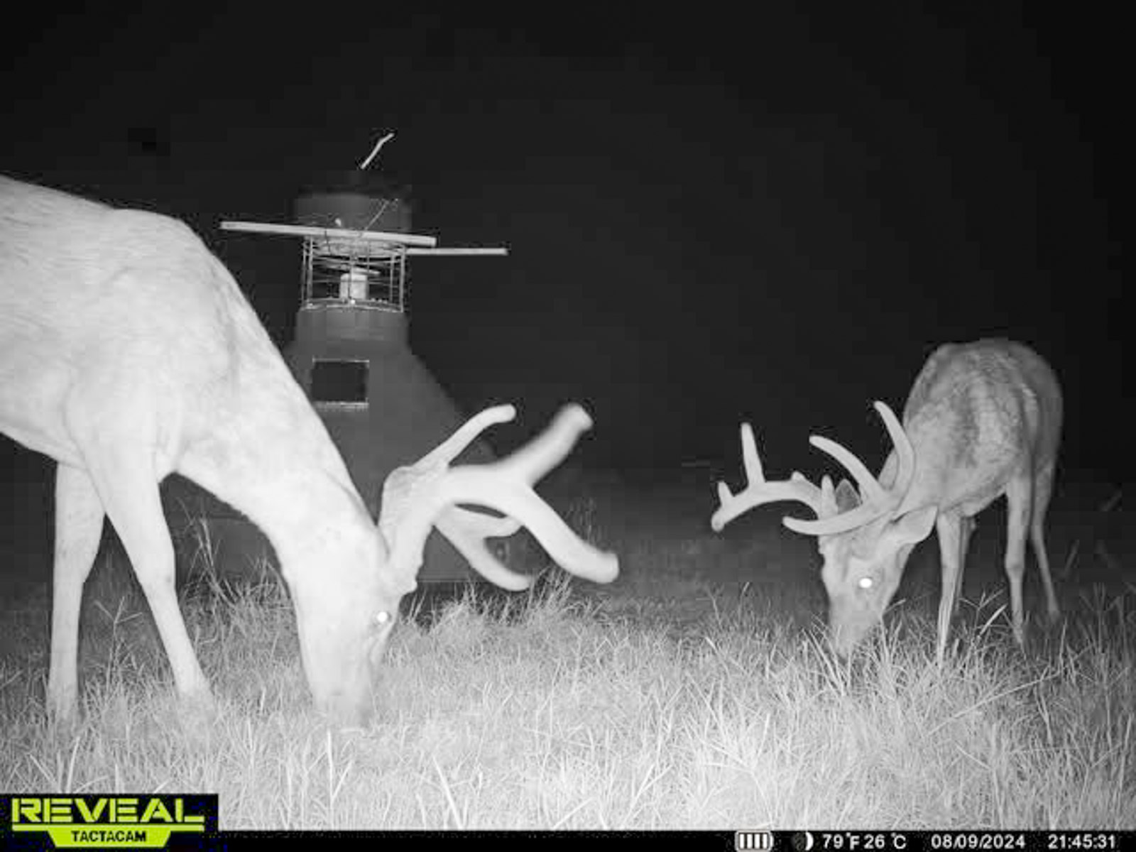 Sadler Ranch property picture 70 of 72