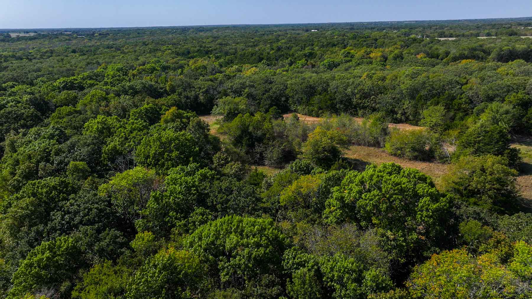 Sadler Ranch property picture 36 of 72