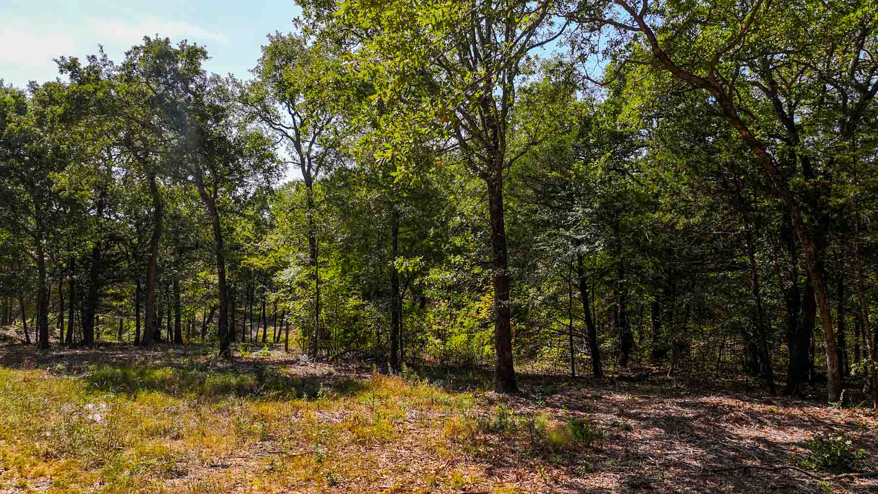 Sadler Ranch property picture 47 of 72