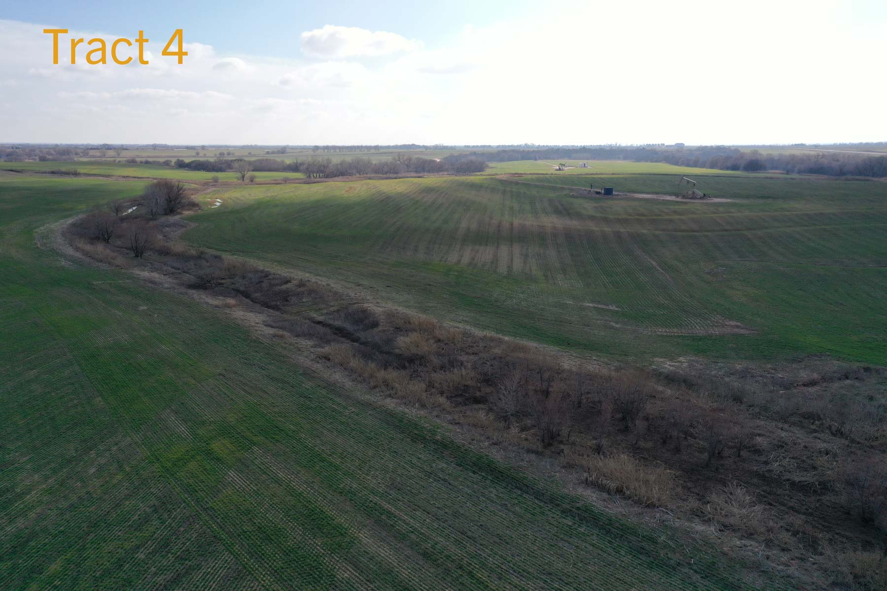 Steve Miller Farm & Ranch property picture 42 of 50