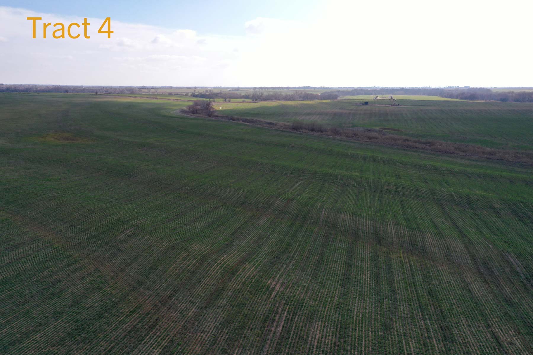 Steve Miller Farm & Ranch property picture 41 of 50