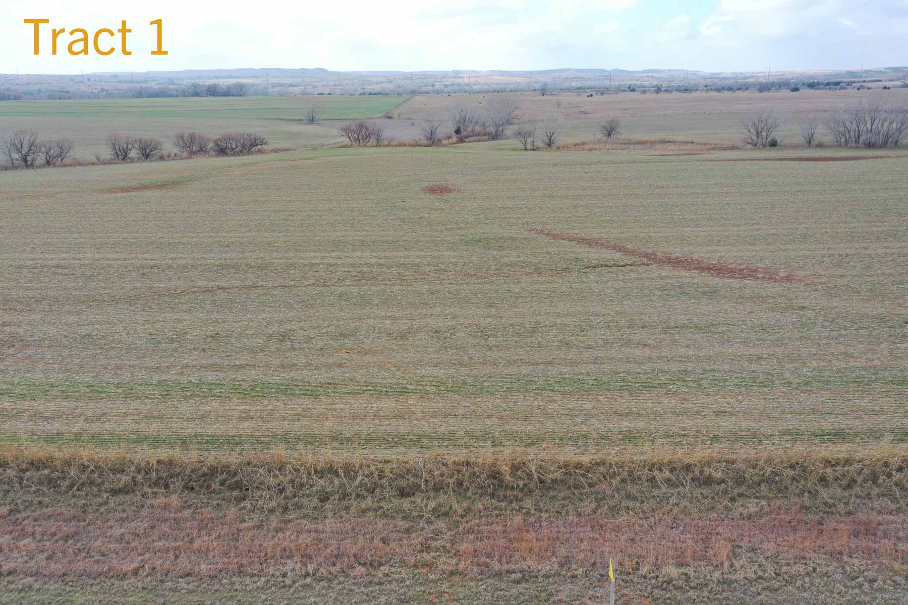 Steve Miller Farm & Ranch property picture 6 of 50