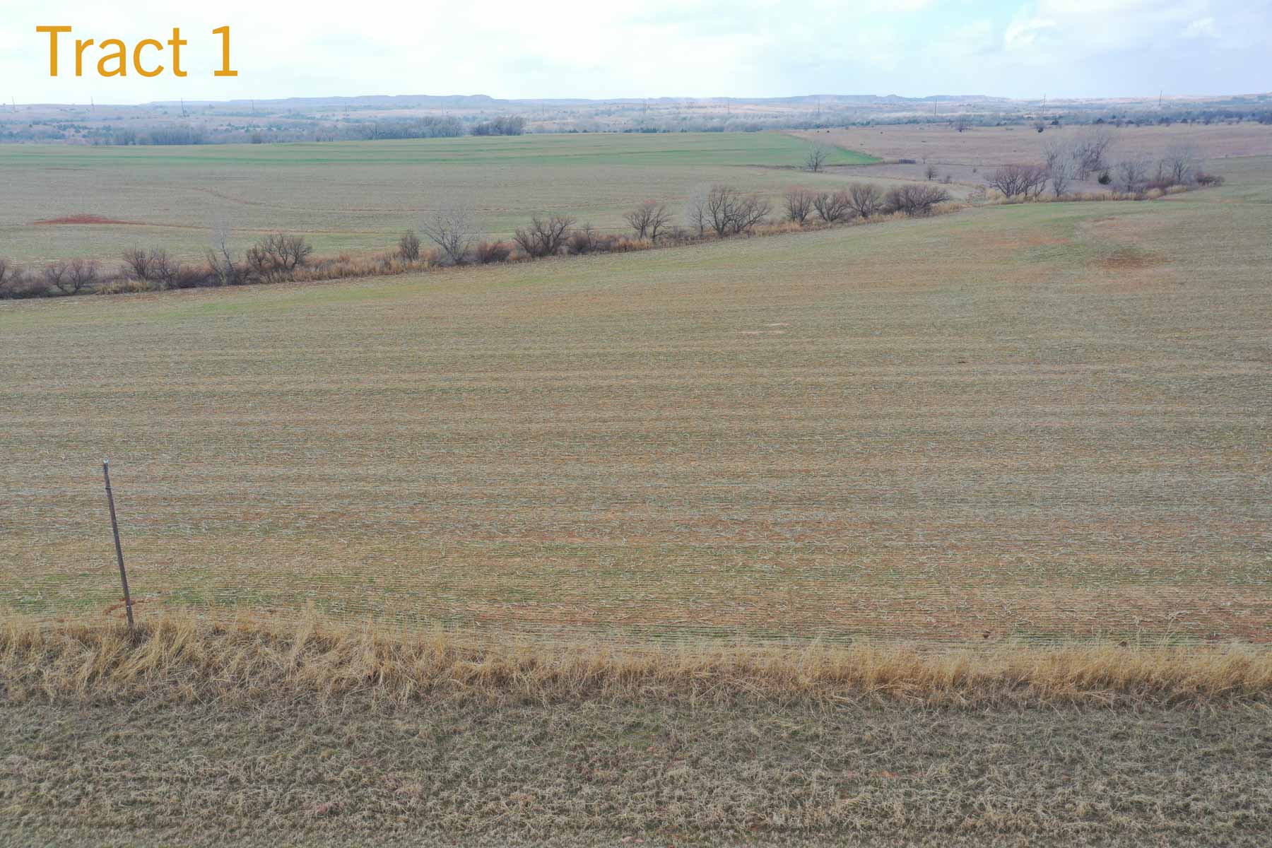 Steve Miller Farm & Ranch property picture 7 of 50