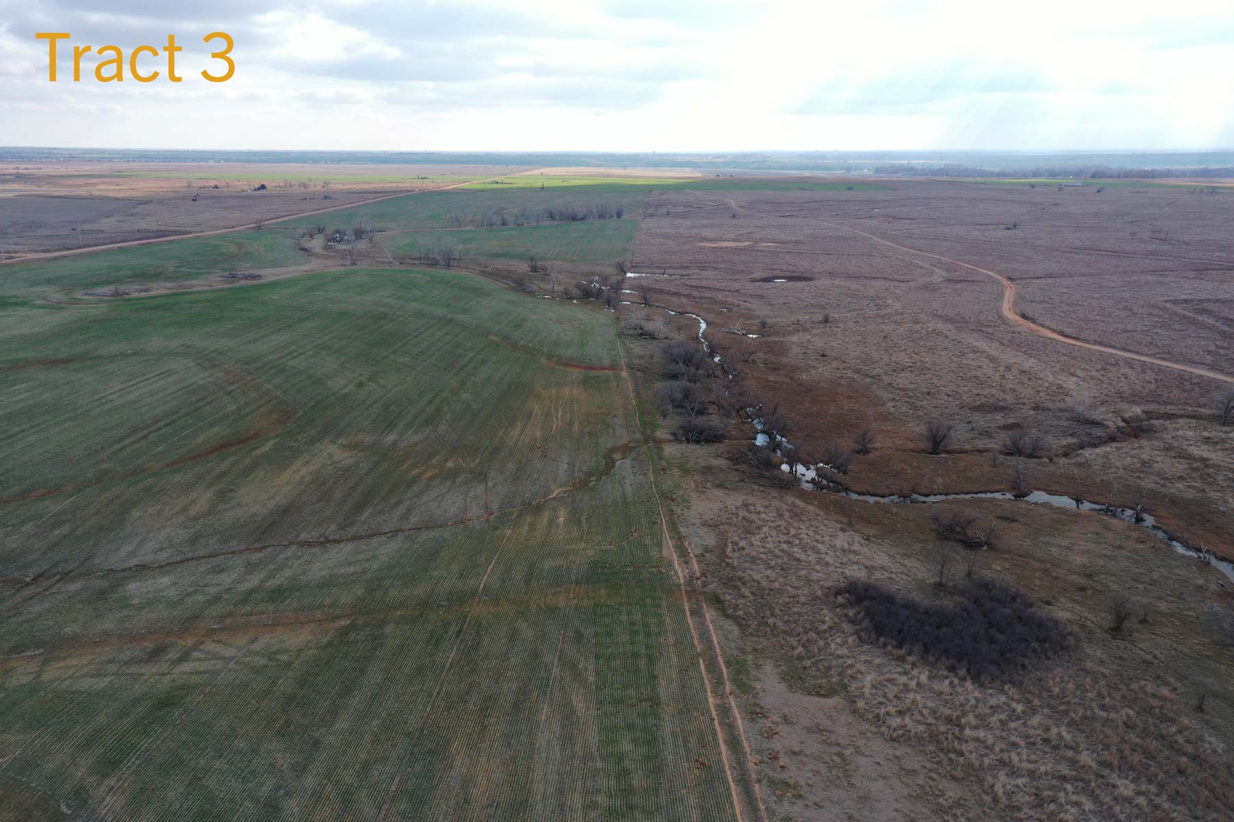 Steve Miller Farm & Ranch property picture 19 of 50