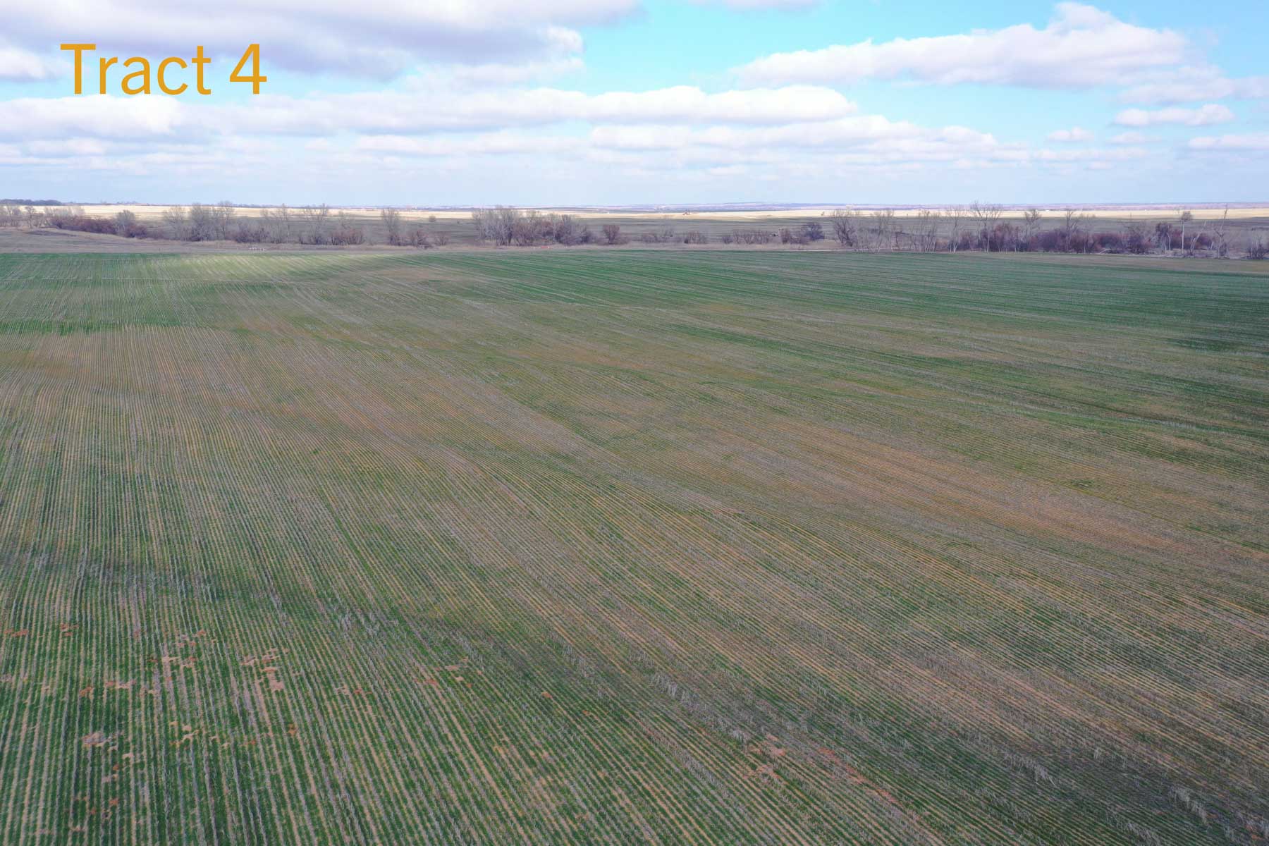 Steve Miller Farm & Ranch property picture 32 of 50