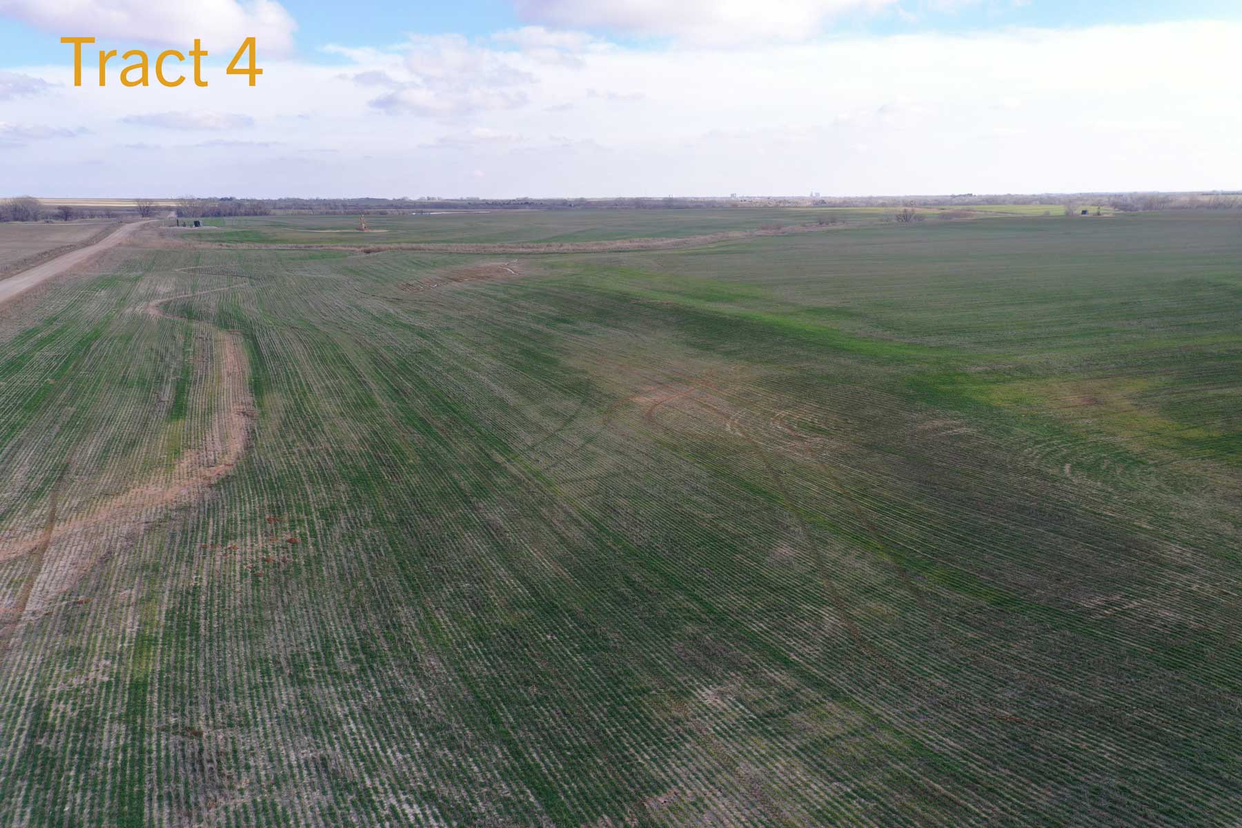 Steve Miller Farm & Ranch property picture 38 of 50