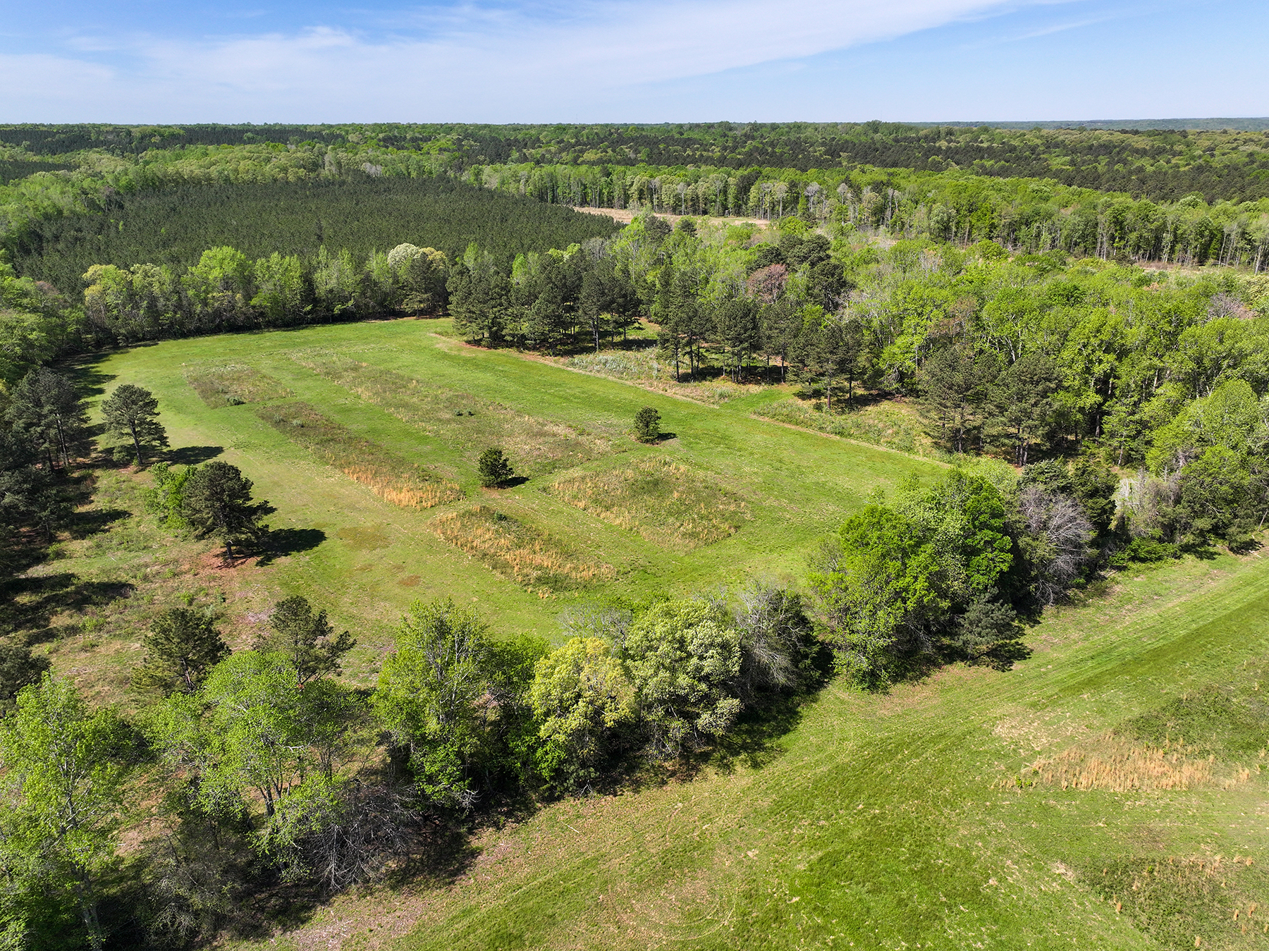 Mount Sion property picture 37 of 50