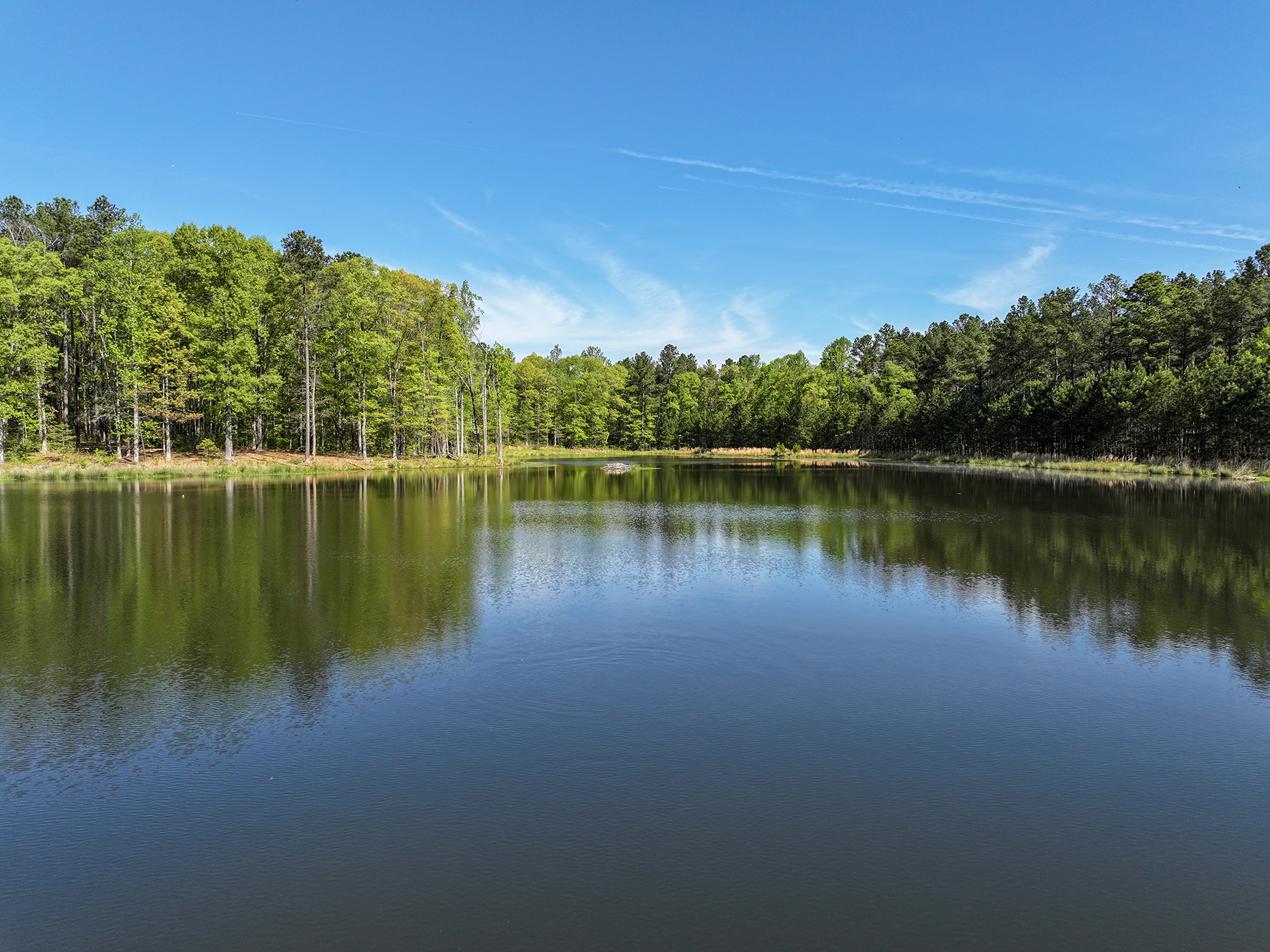 Mount Sion property picture 13 of 50