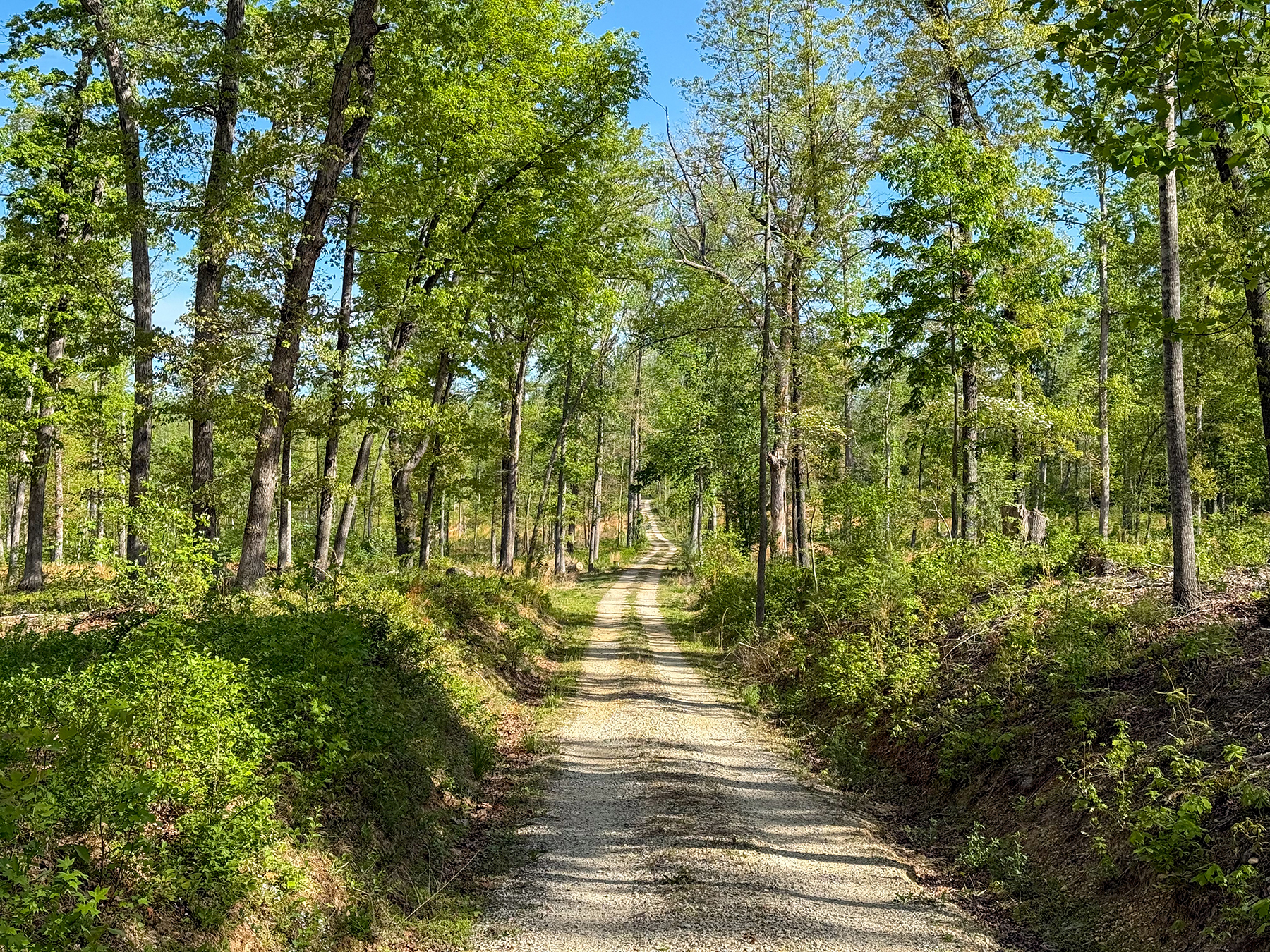 Mount Sion property picture 5 of 50