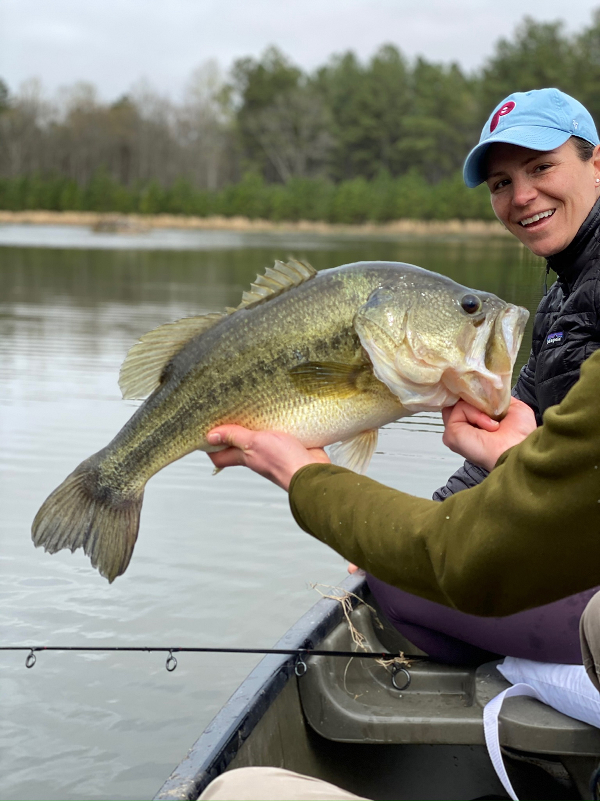 Mount Sion property picture 14 of 50