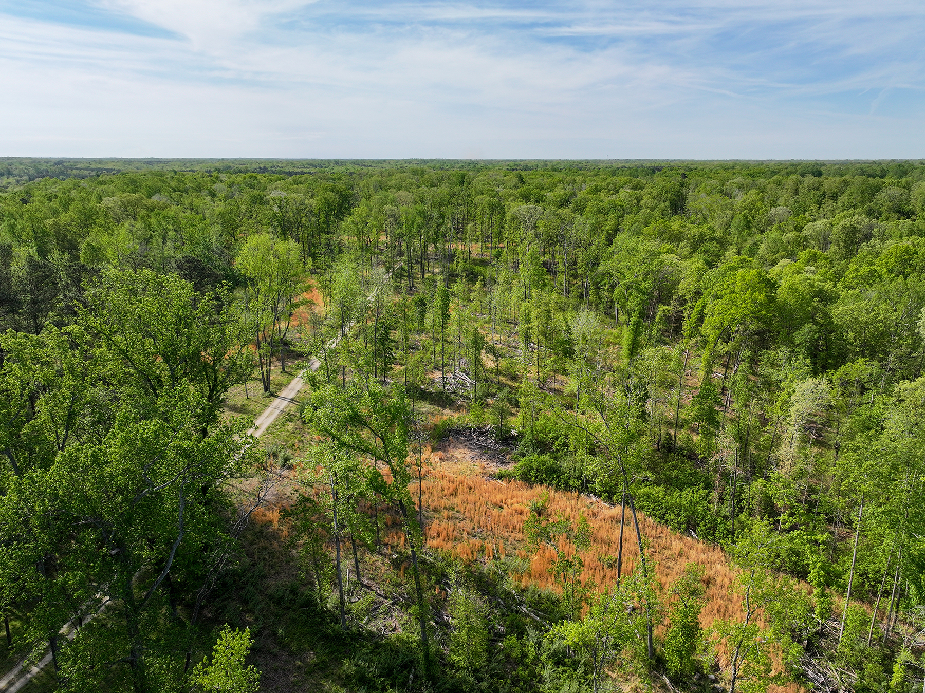 Mount Sion property picture 4 of 50