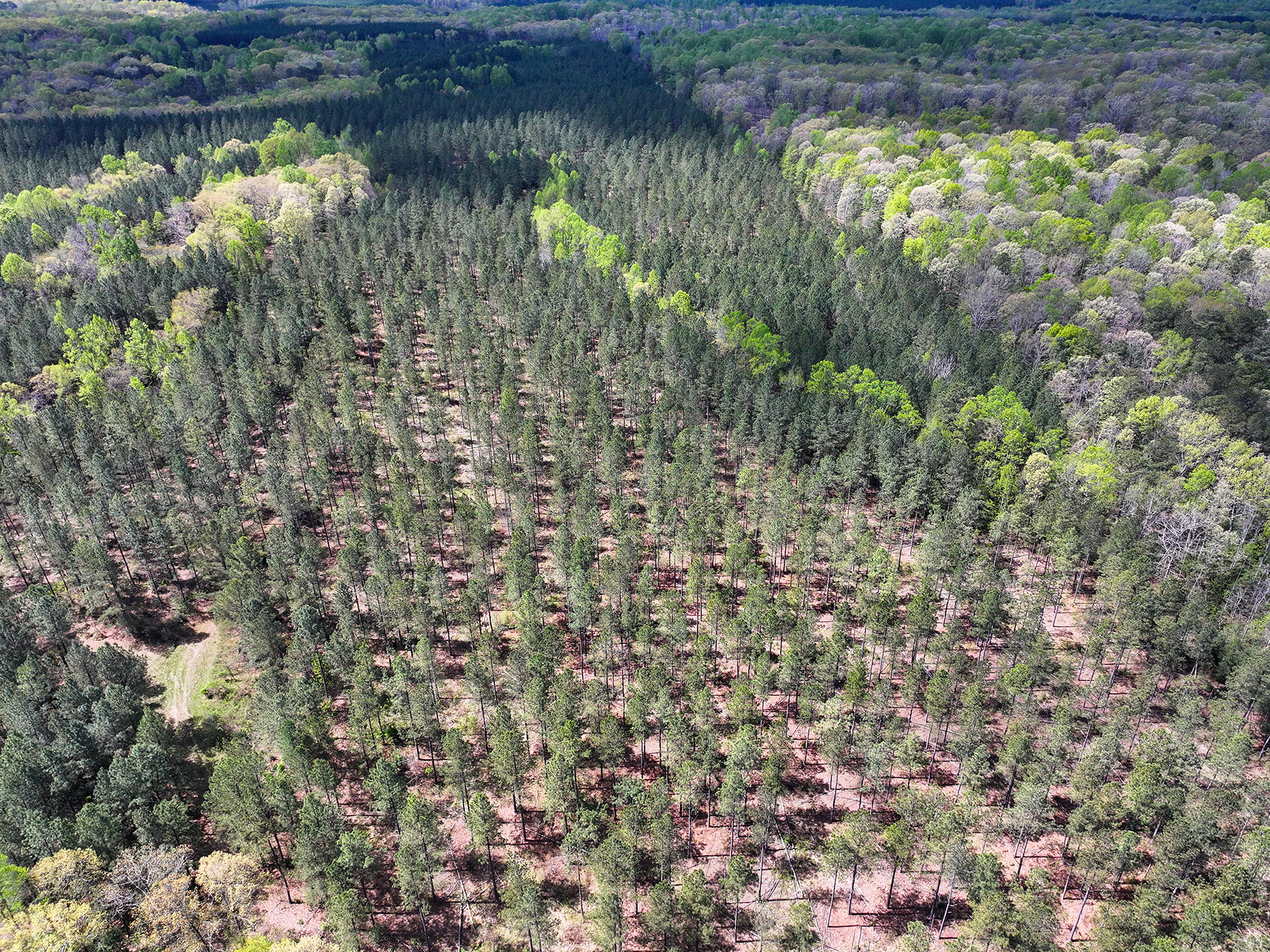 Mount Sion property picture 32 of 50