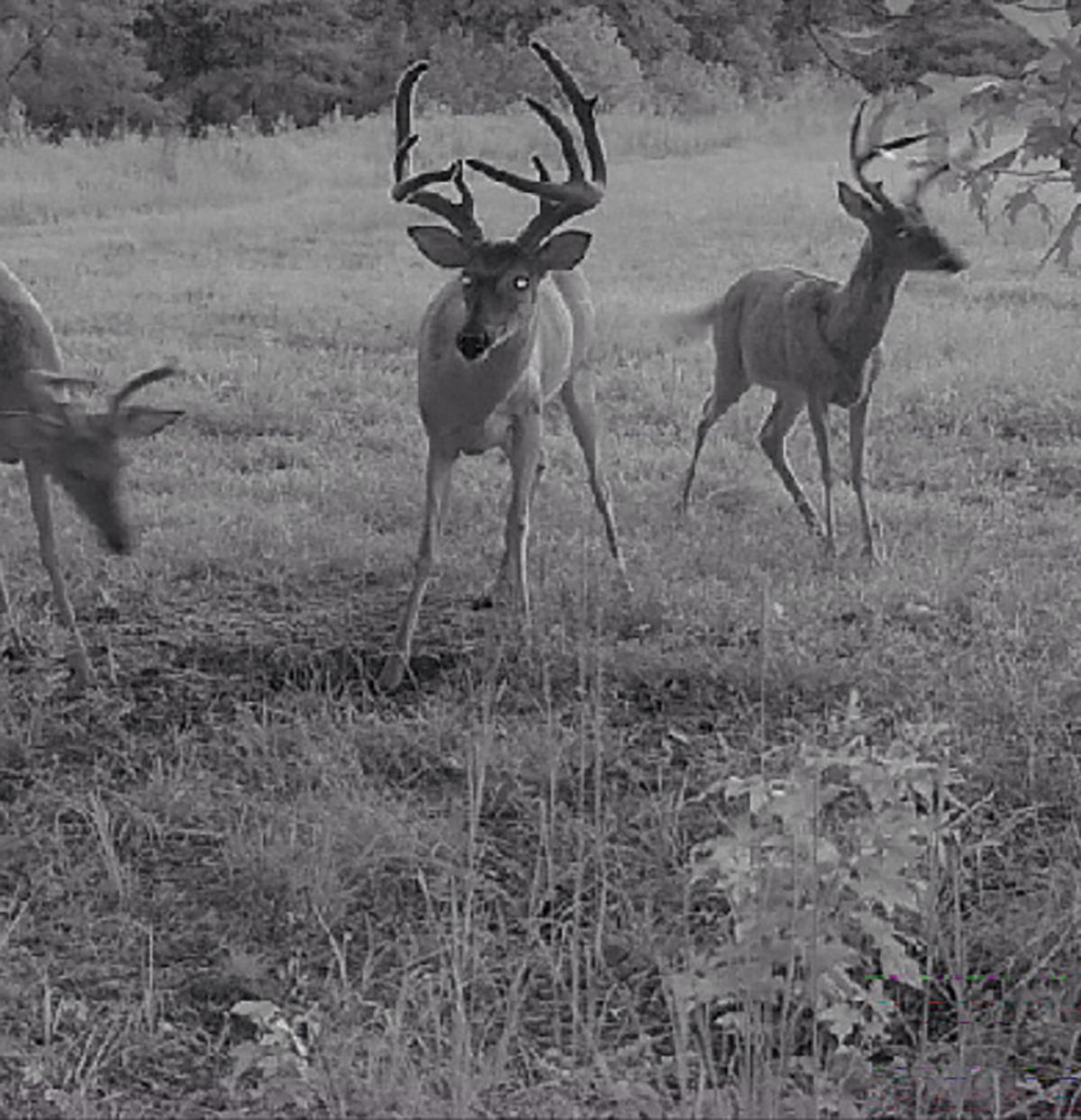 Mount Sion property picture 3 of 50