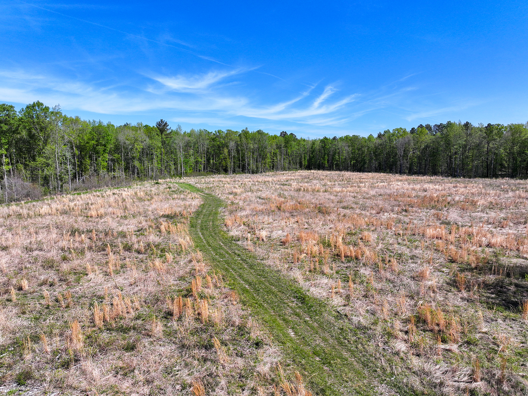 Mount Sion property picture 34 of 50