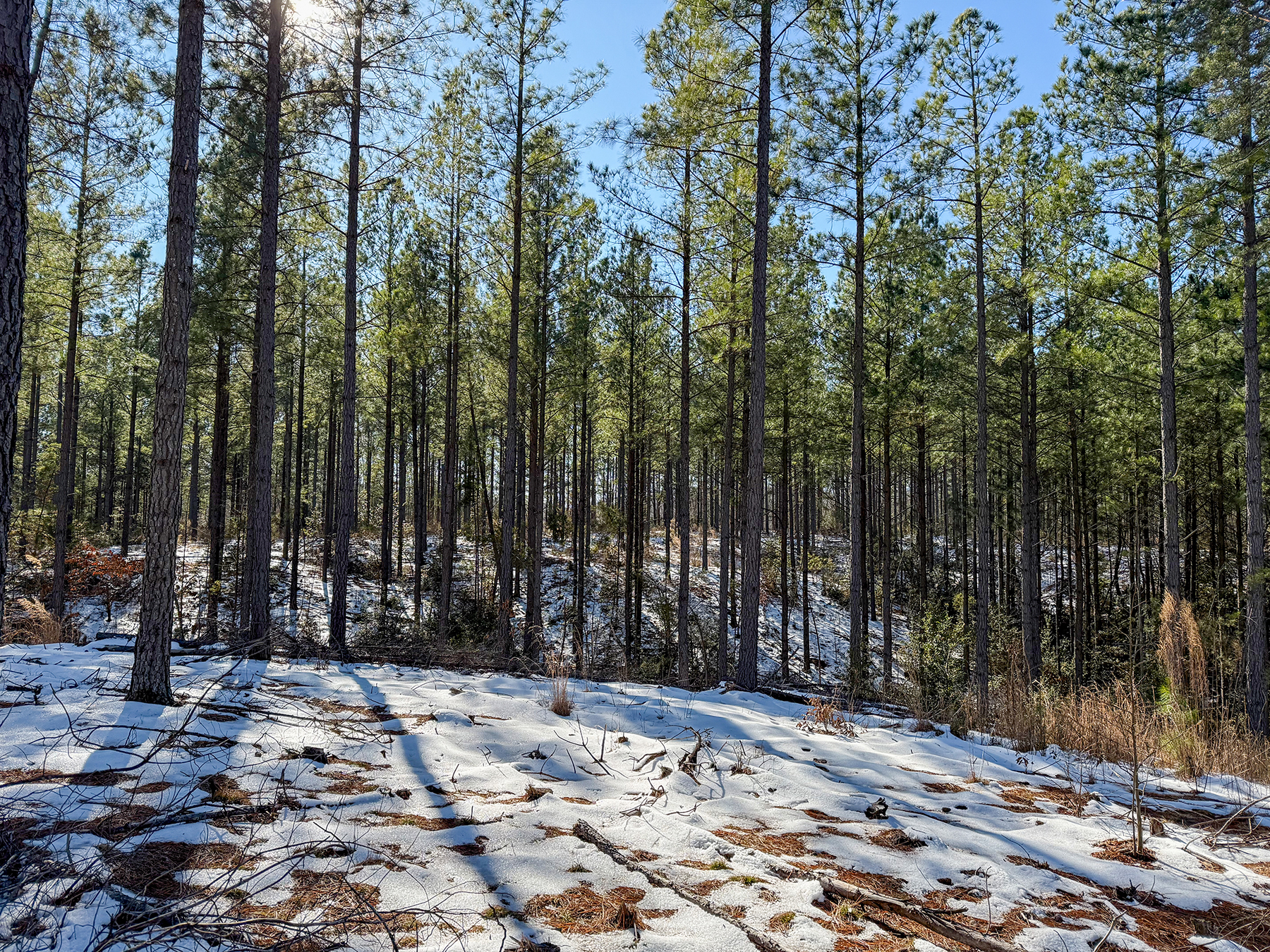 Mount Sion property picture 50 of 50