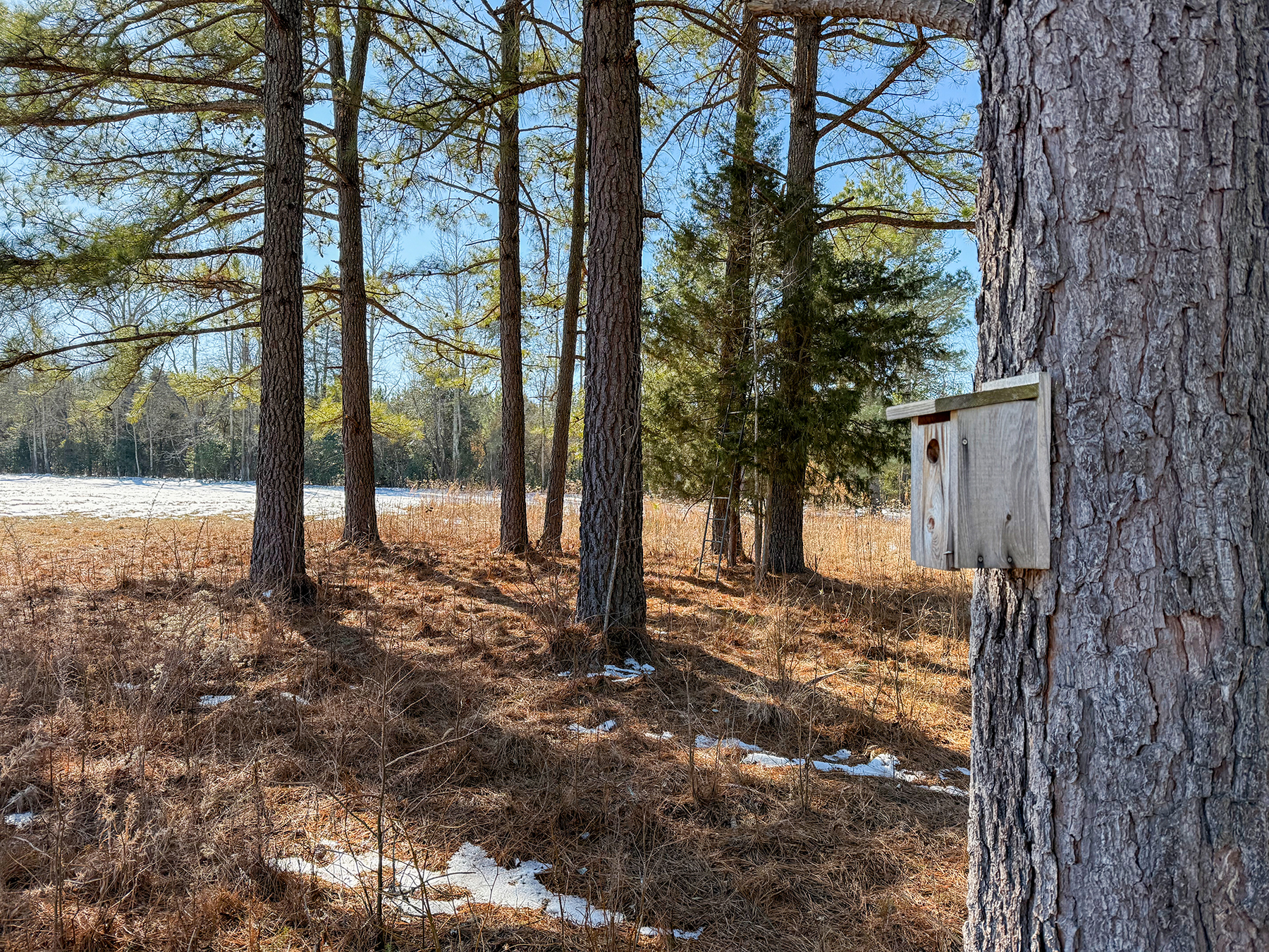 Mount Sion property picture 49 of 50