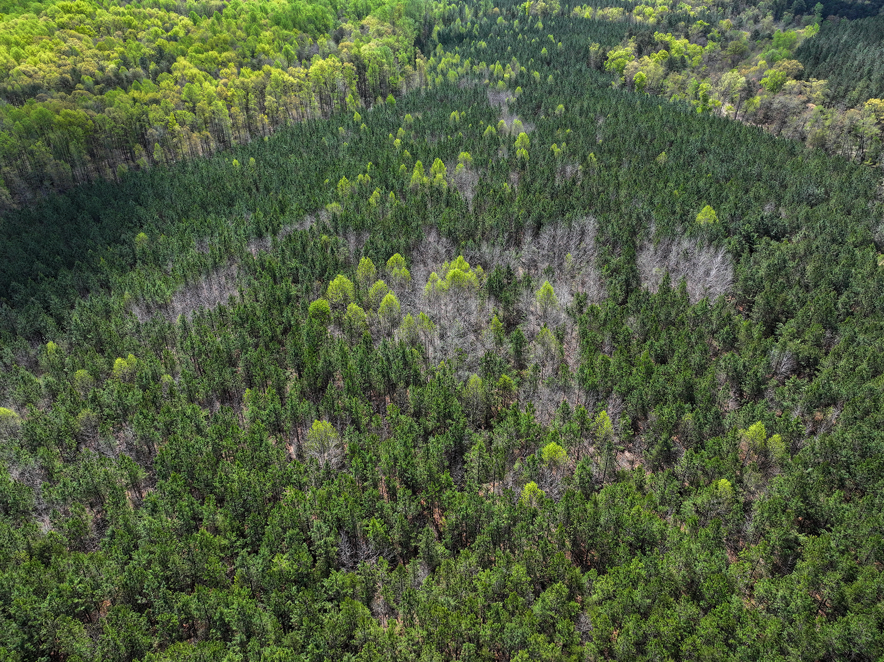 Mount Sion property picture 30 of 50