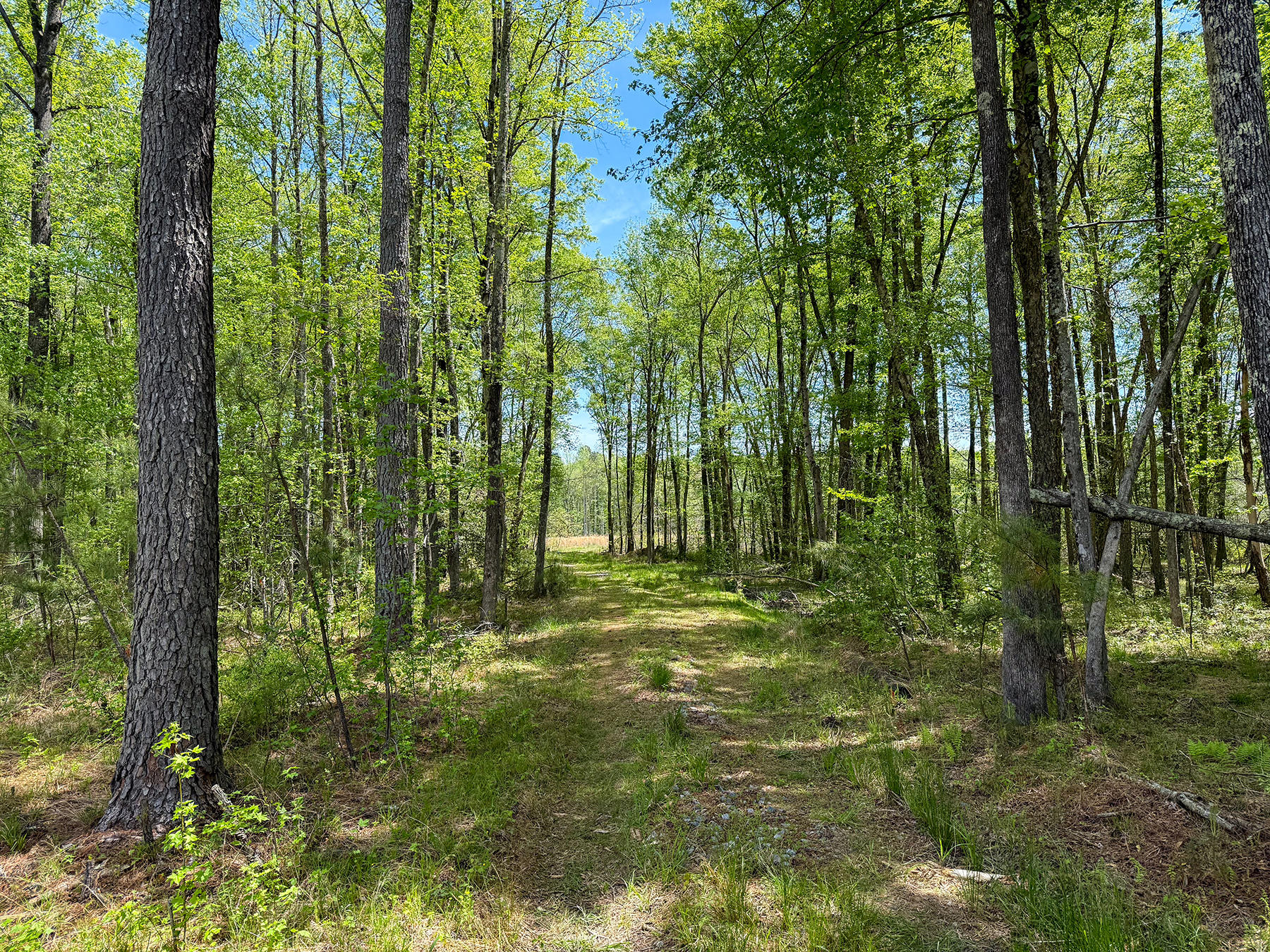 Mount Sion property picture 35 of 50