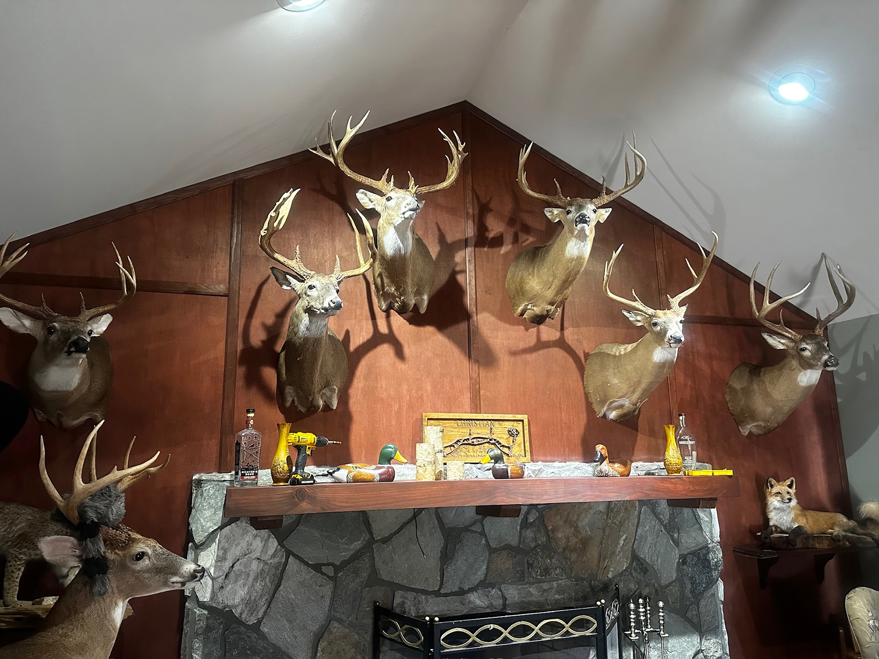 Mount Sion property picture 28 of 50