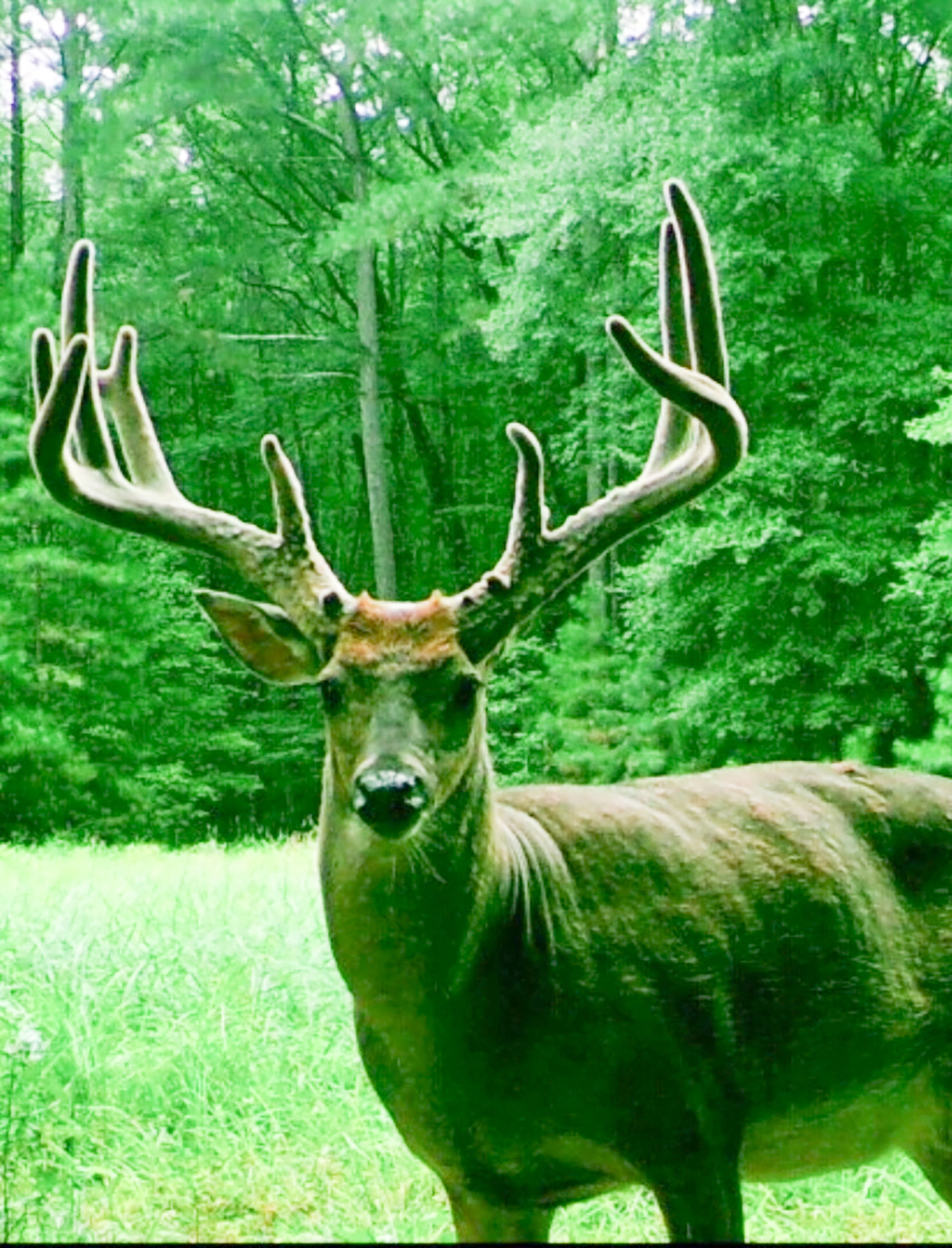 Mount Sion property picture 23 of 50