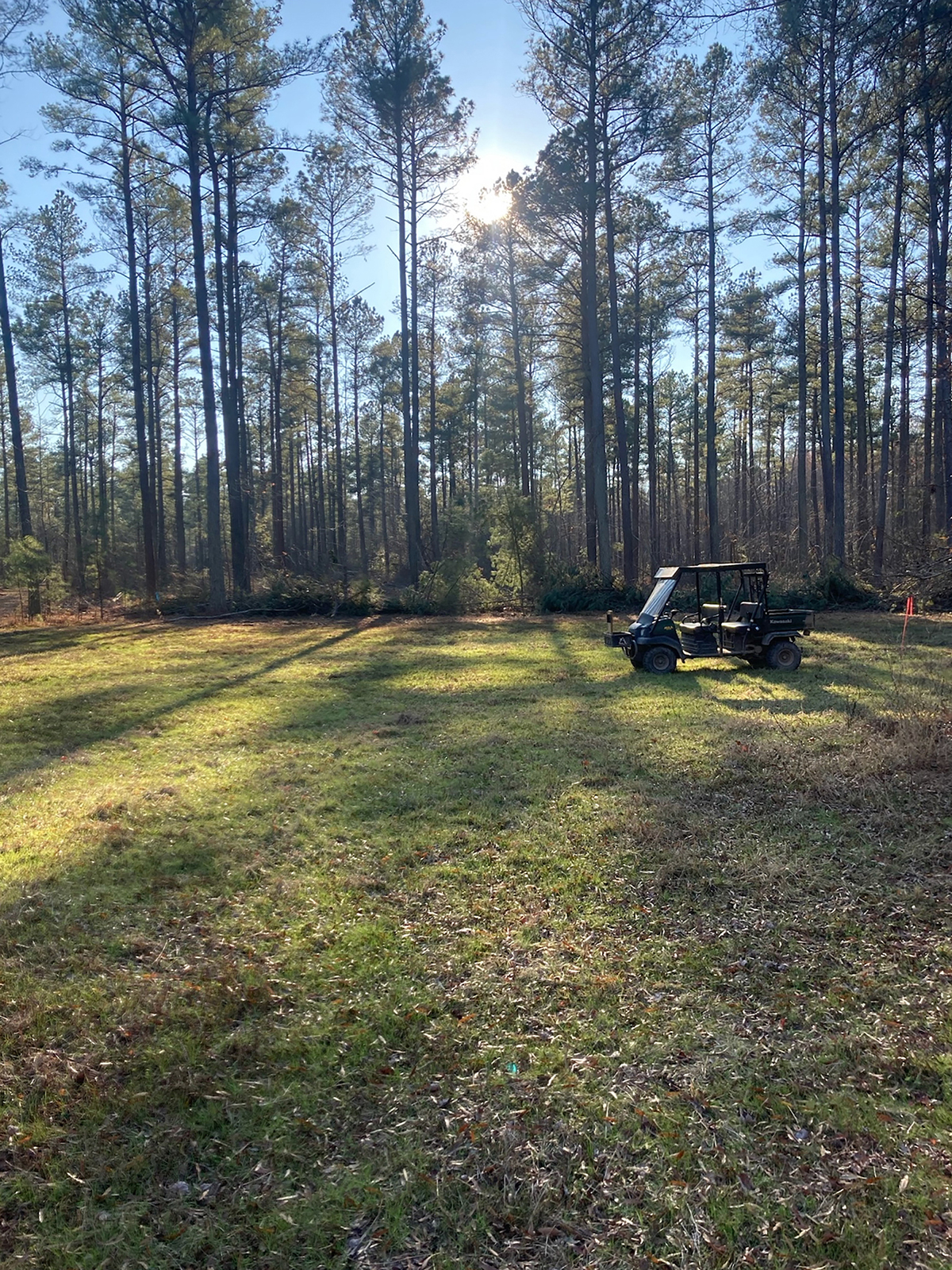 Mount Sion property picture 27 of 50