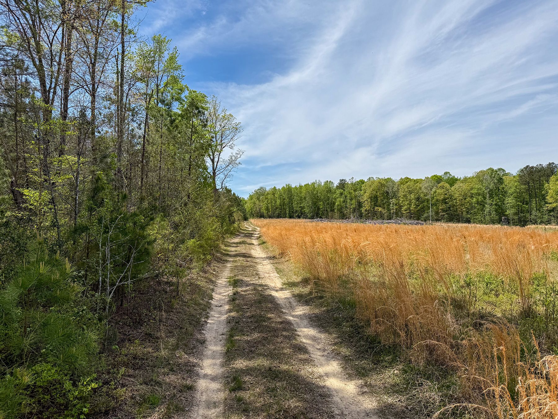 Mount Sion property picture 18 of 50