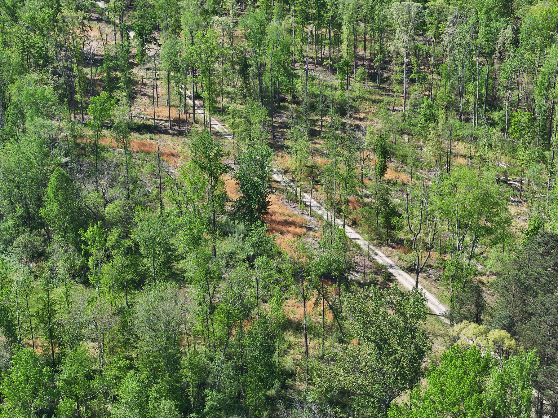 Mount Sion property picture 41 of 50