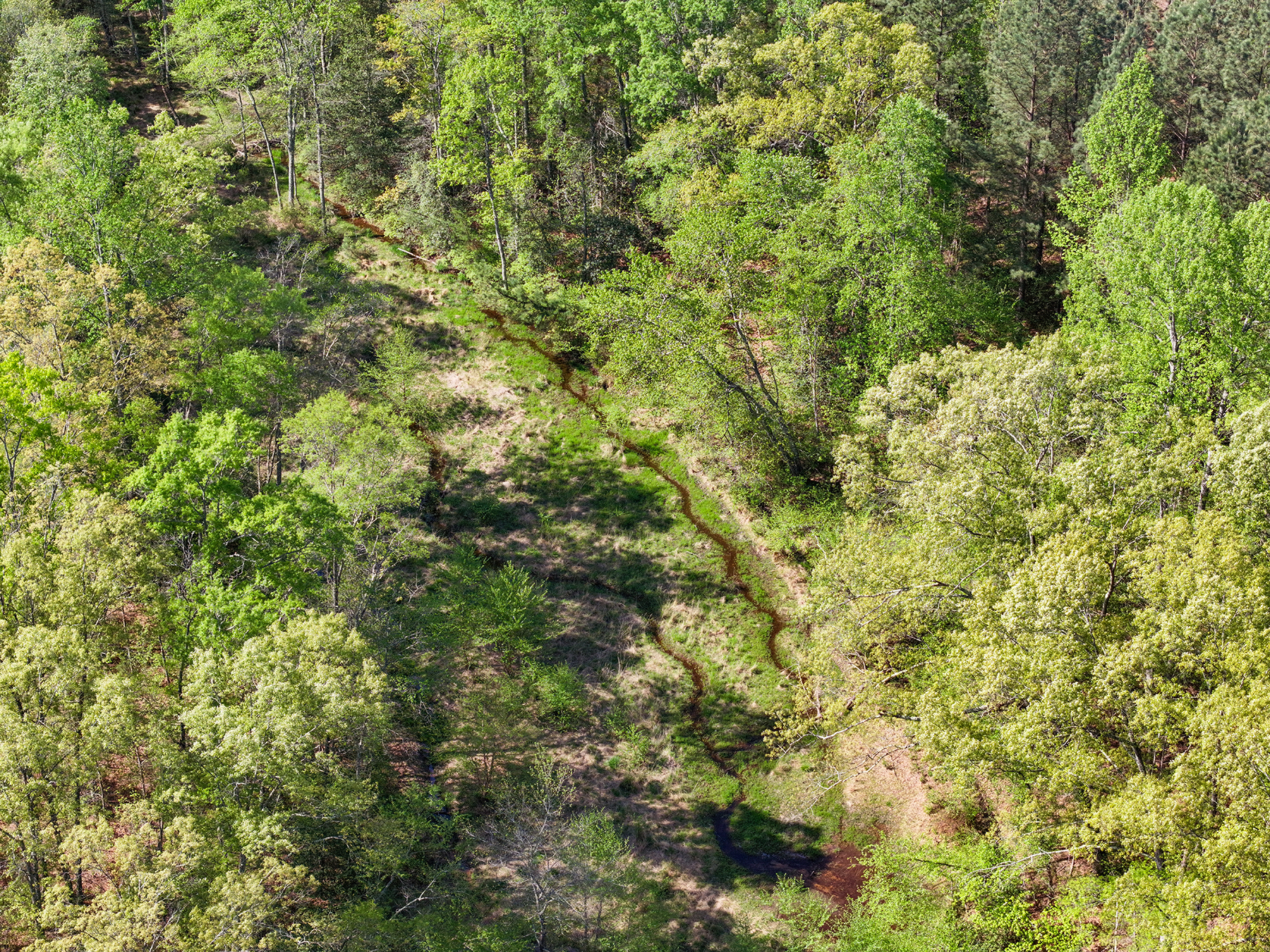 Mount Sion property picture 11 of 50