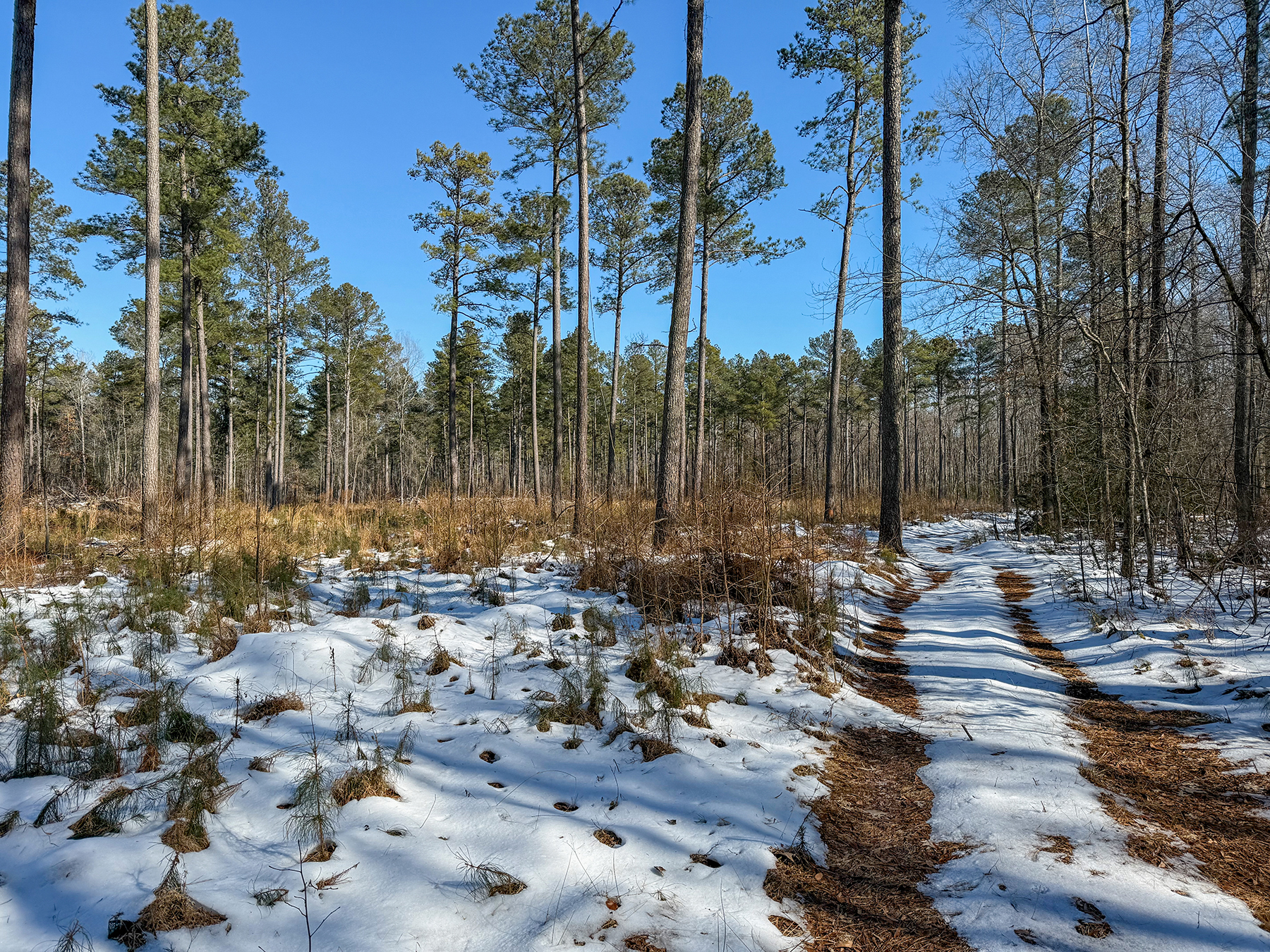 Mount Sion property picture 47 of 50