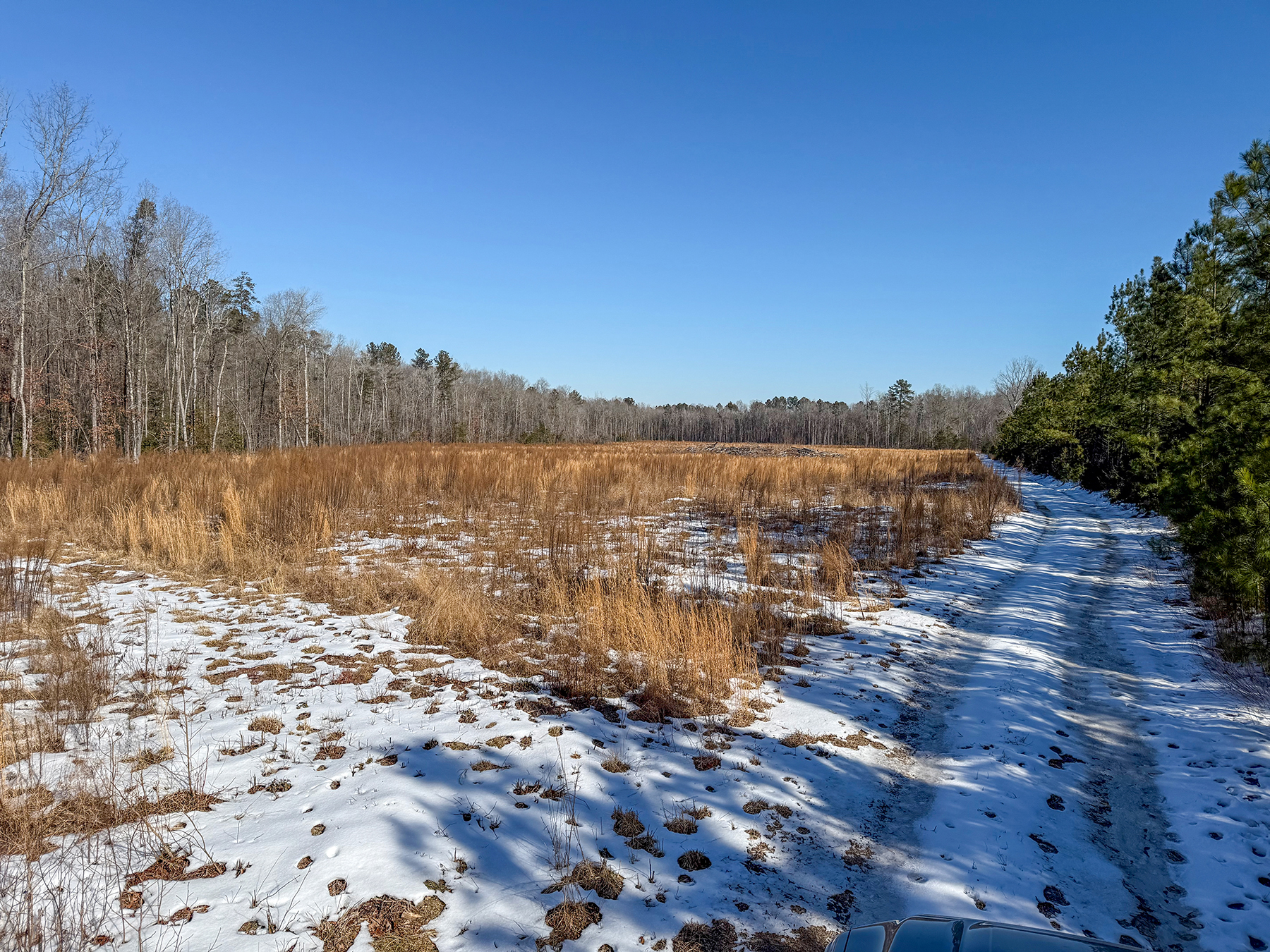 Mount Sion property picture 46 of 50