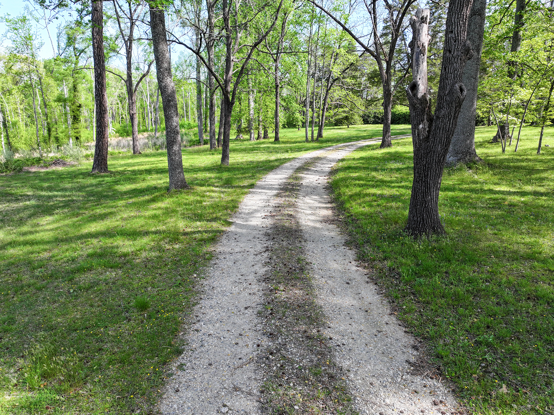 Mount Sion property picture 6 of 50