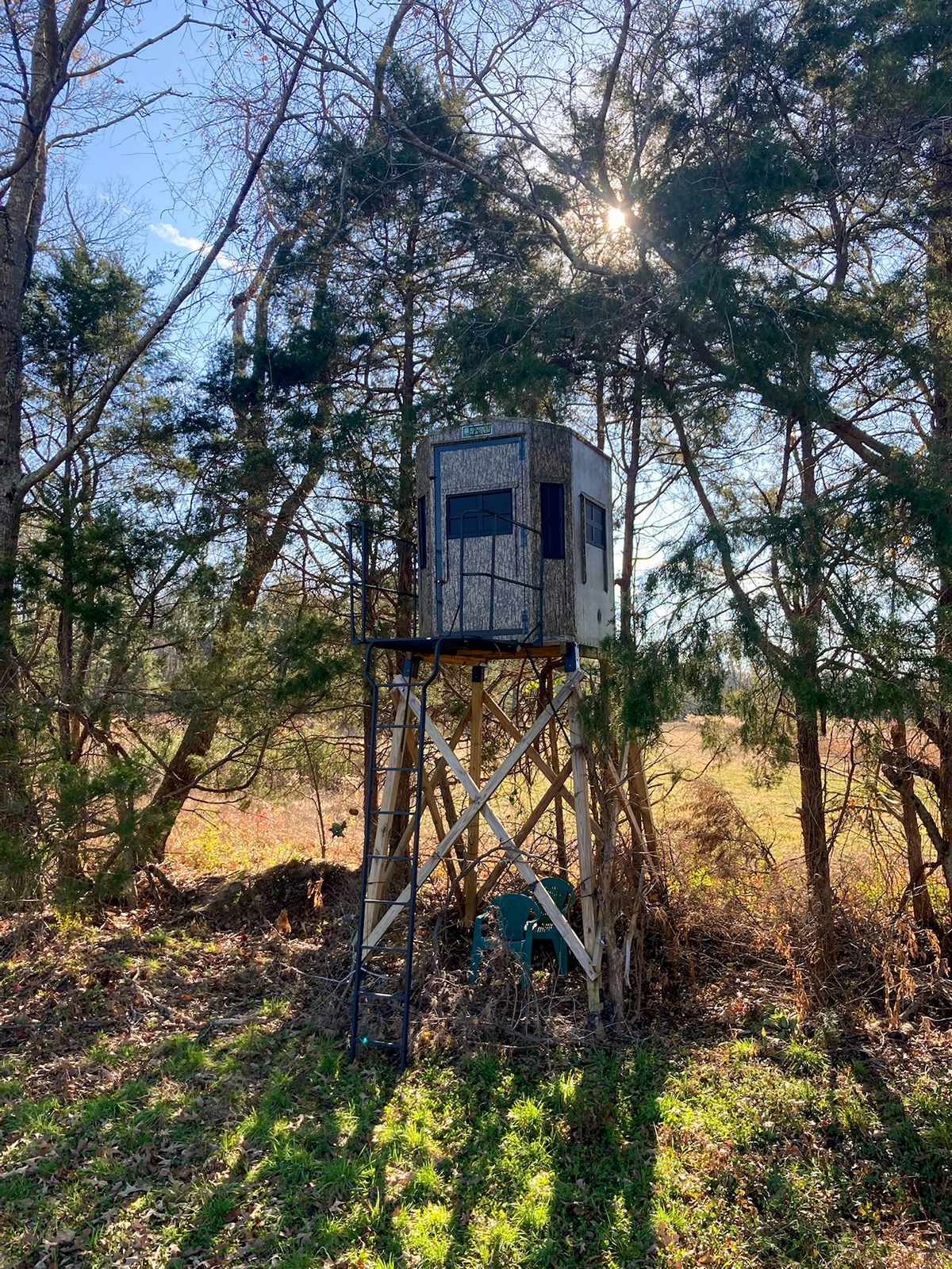 Mount Sion property picture 25 of 50