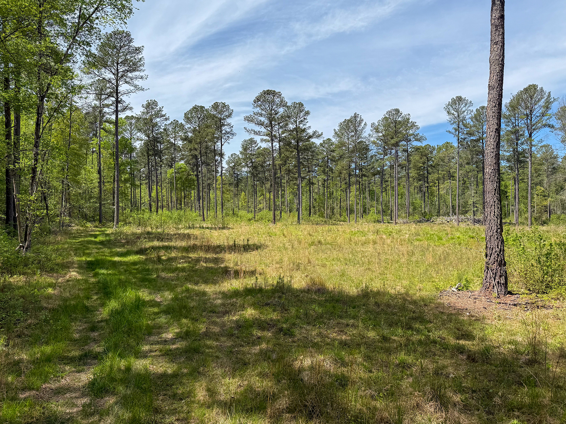 Mount Sion property picture 36 of 50