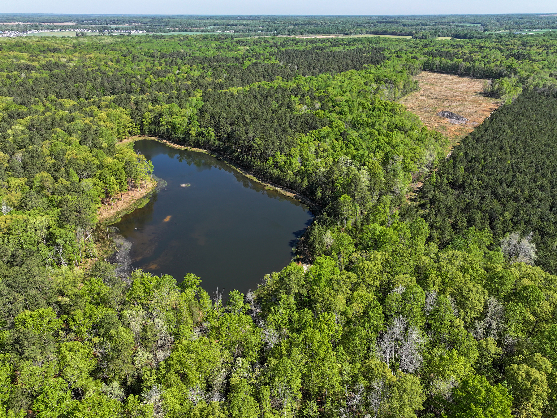 Mount Sion property picture 12 of 50