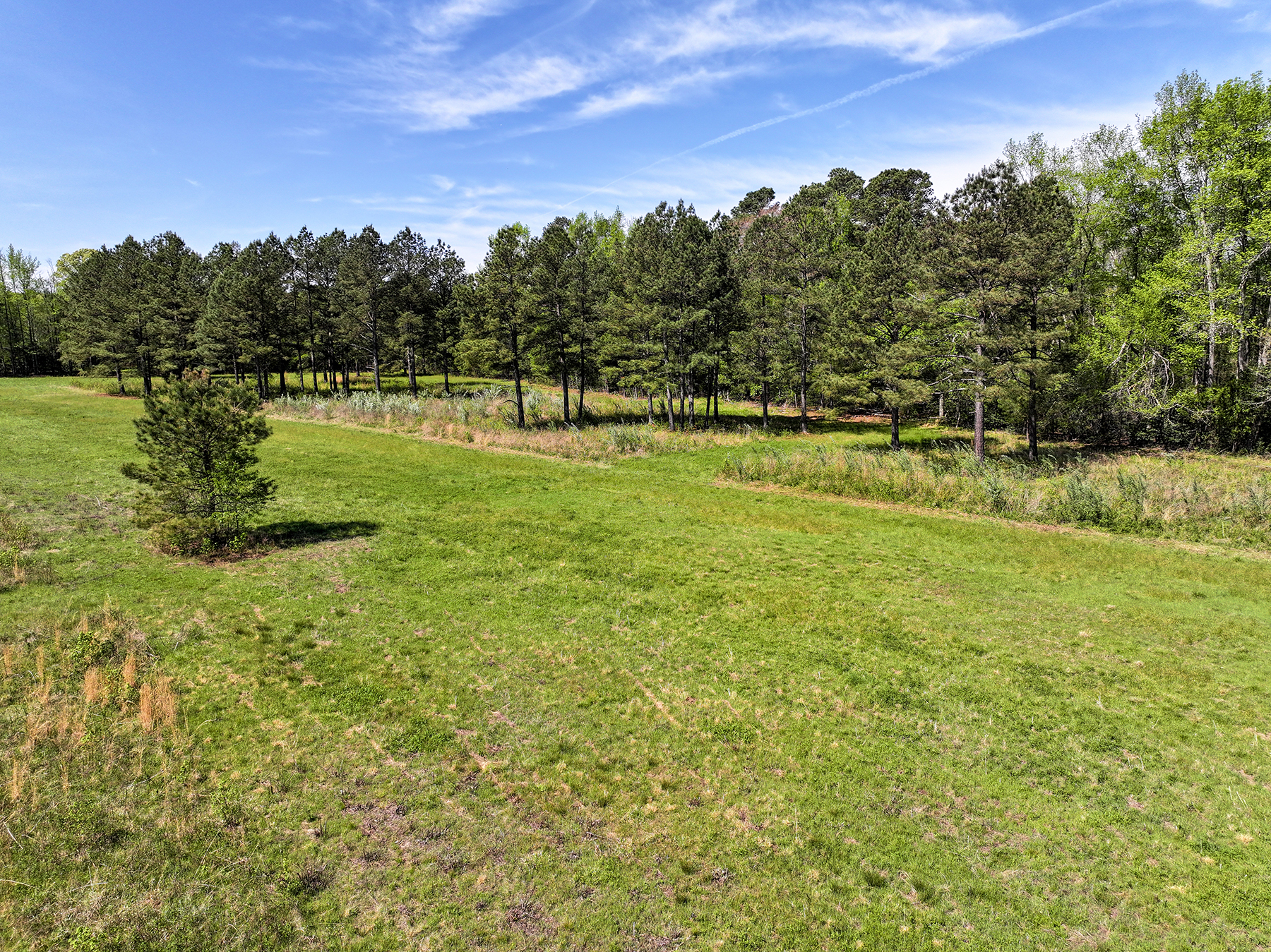 Mount Sion property picture 39 of 50