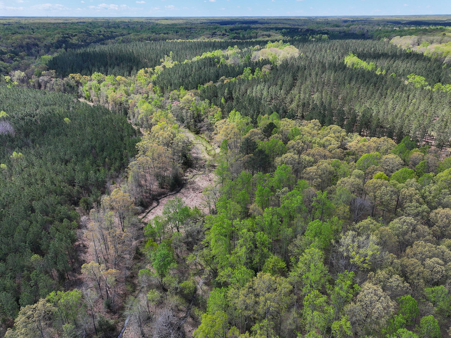 Mount Sion property picture 31 of 50