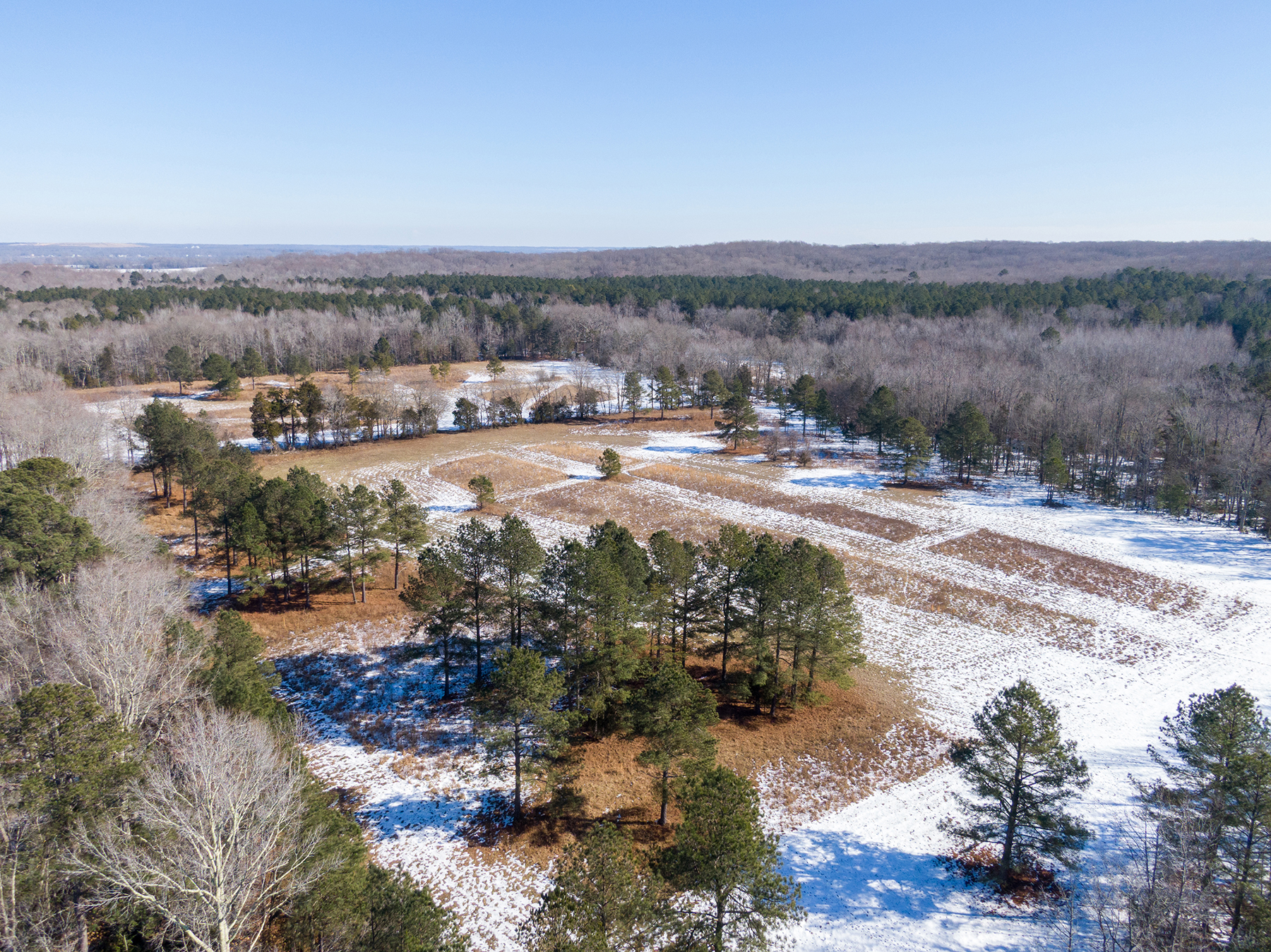 Mount Sion property picture 48 of 50