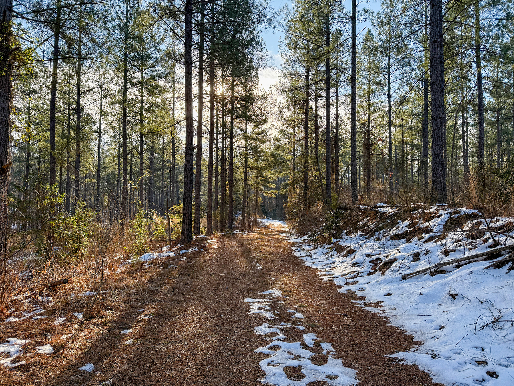 Mount Sion property picture 43 of 50