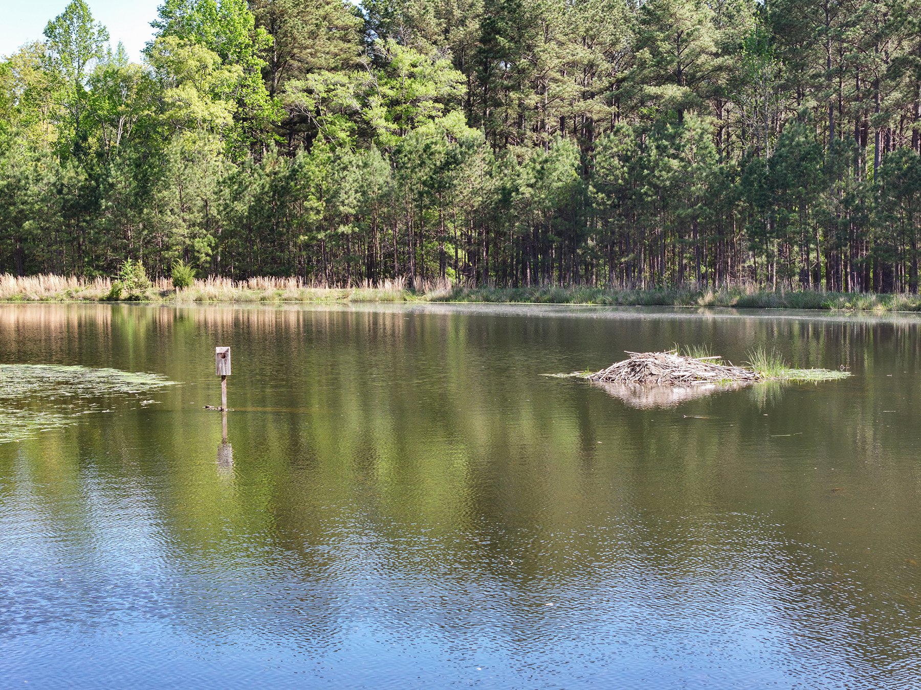 Mount Sion property picture 15 of 50