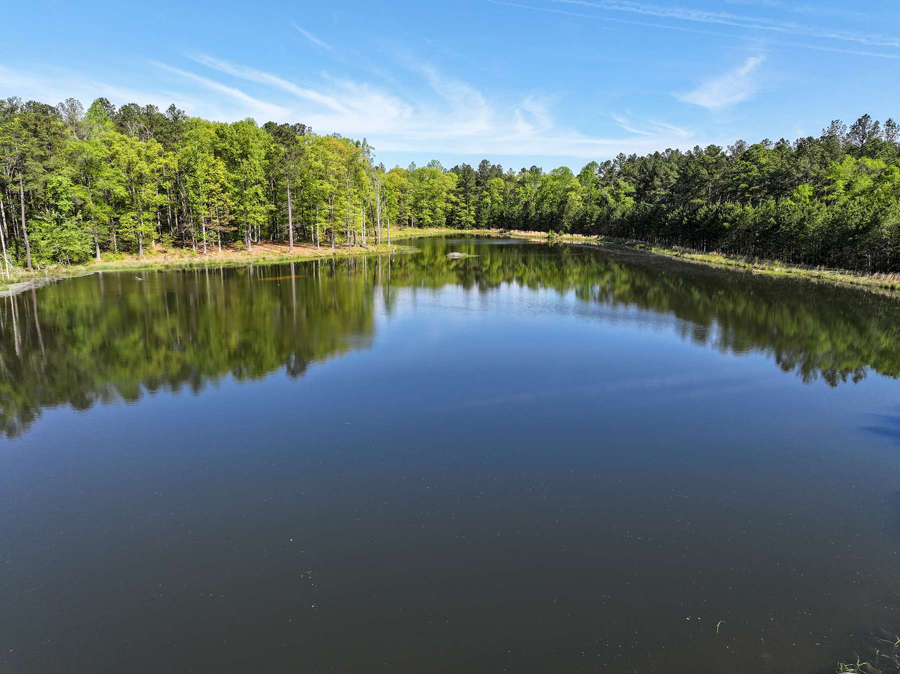 Mount Sion property picture 2 of 50