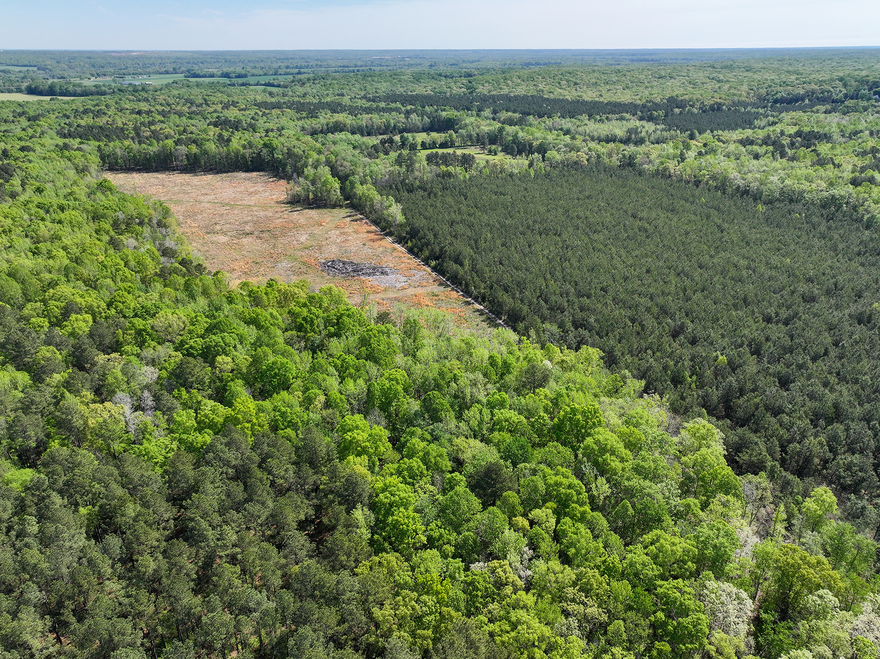 Mount Sion property picture 17 of 50