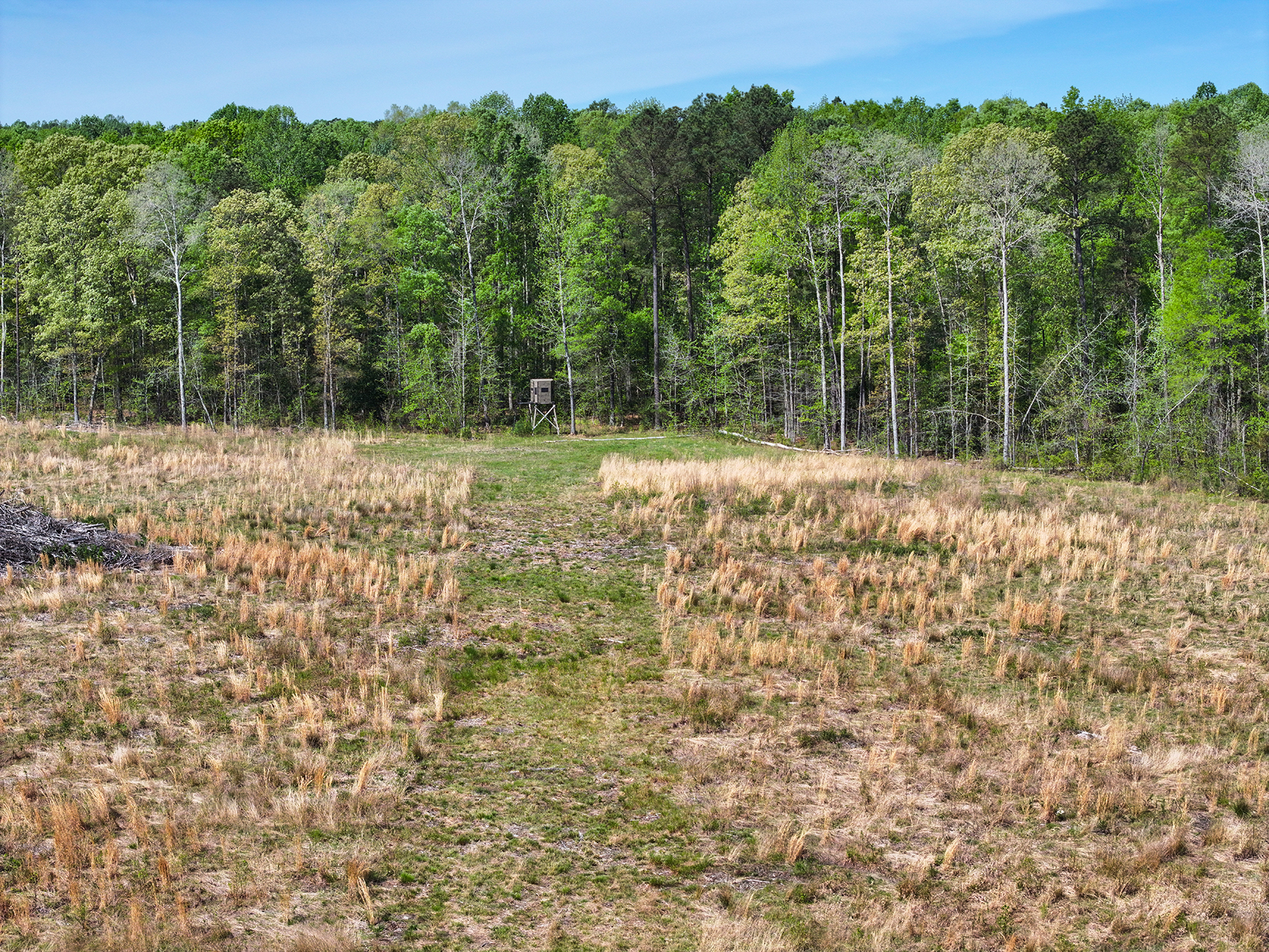 Mount Sion property picture 19 of 50