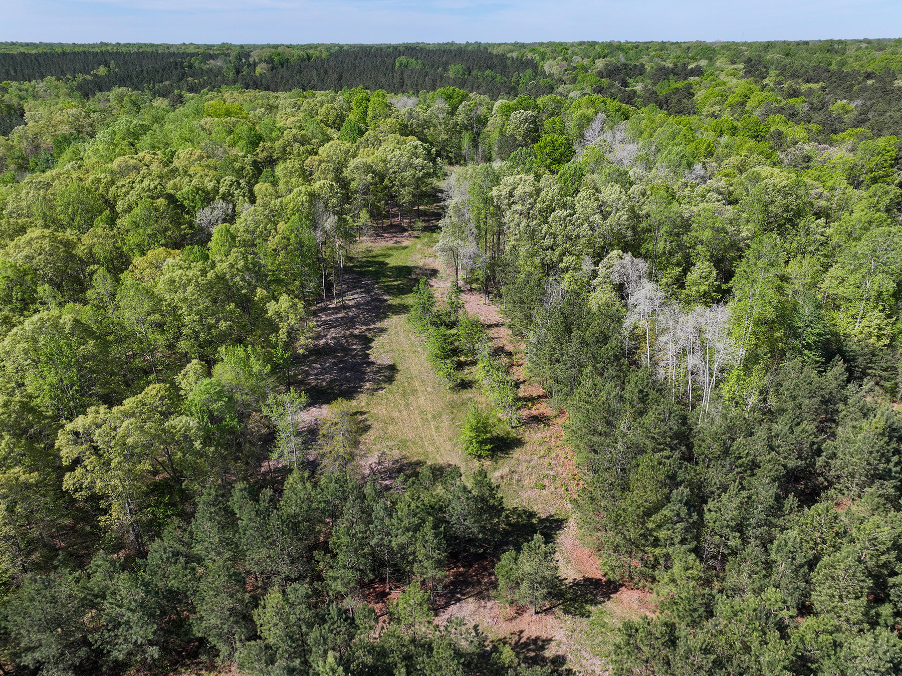 Mount Sion property picture 40 of 50