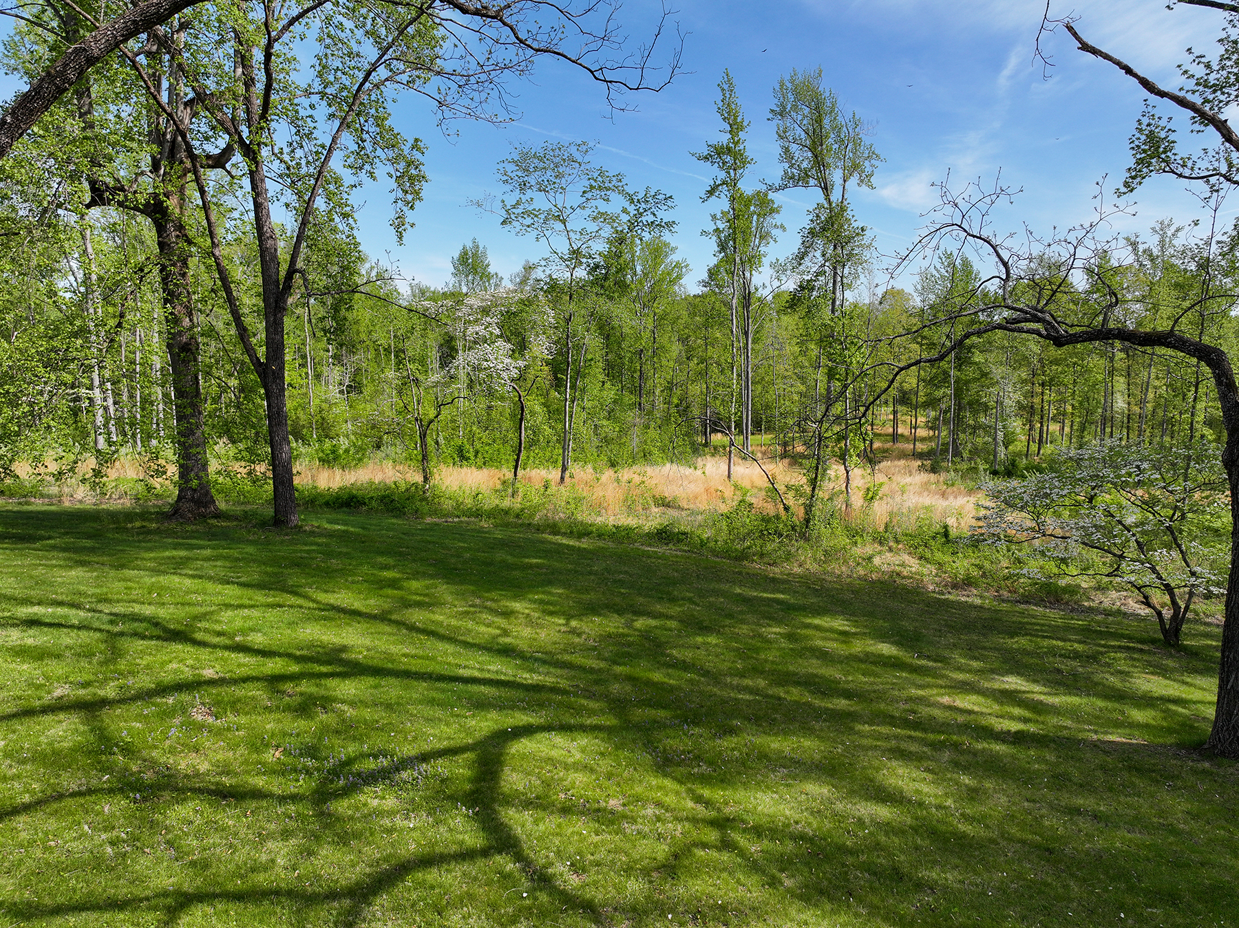 Mount Sion property picture 9 of 50