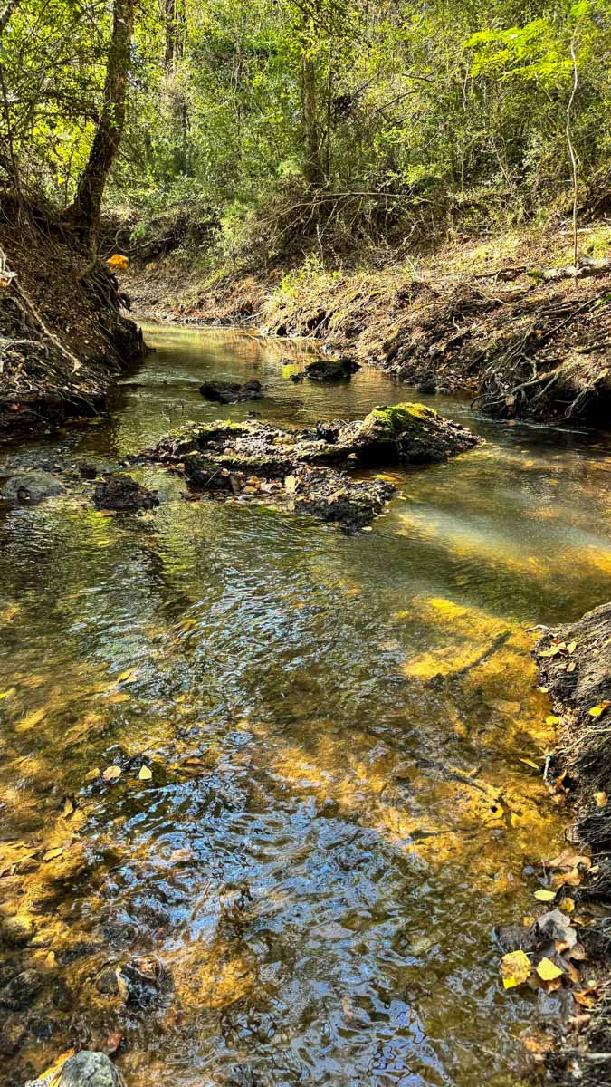 Long Hollow Ranch property picture 36 of 36