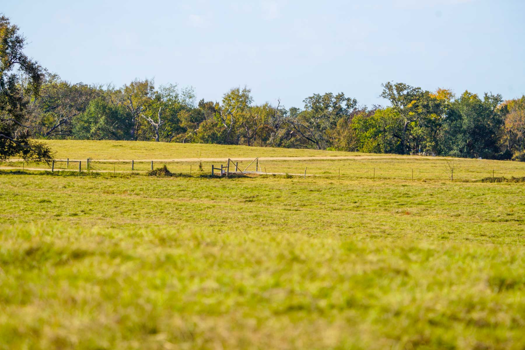 Long Hollow Ranch property picture 28 of 36