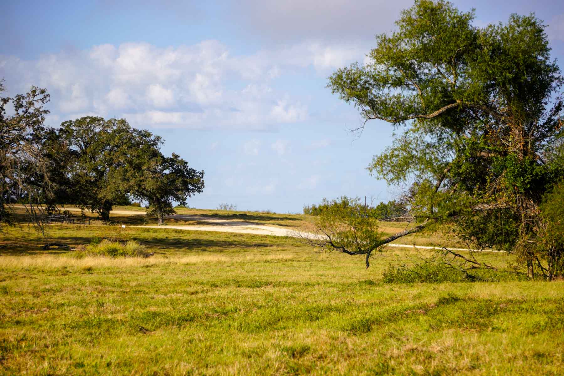 Long Hollow Ranch property picture 15 of 36