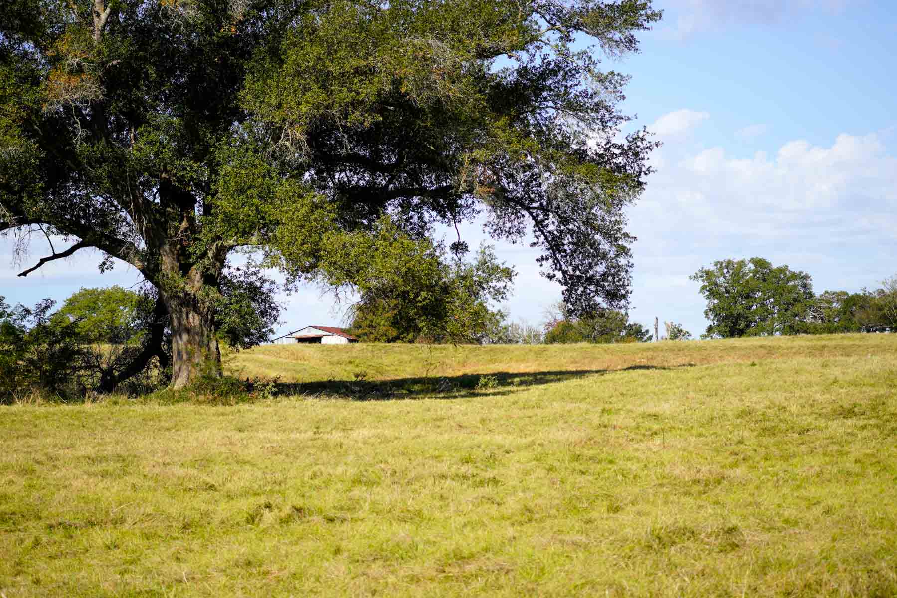 Long Hollow Ranch property picture 31 of 36