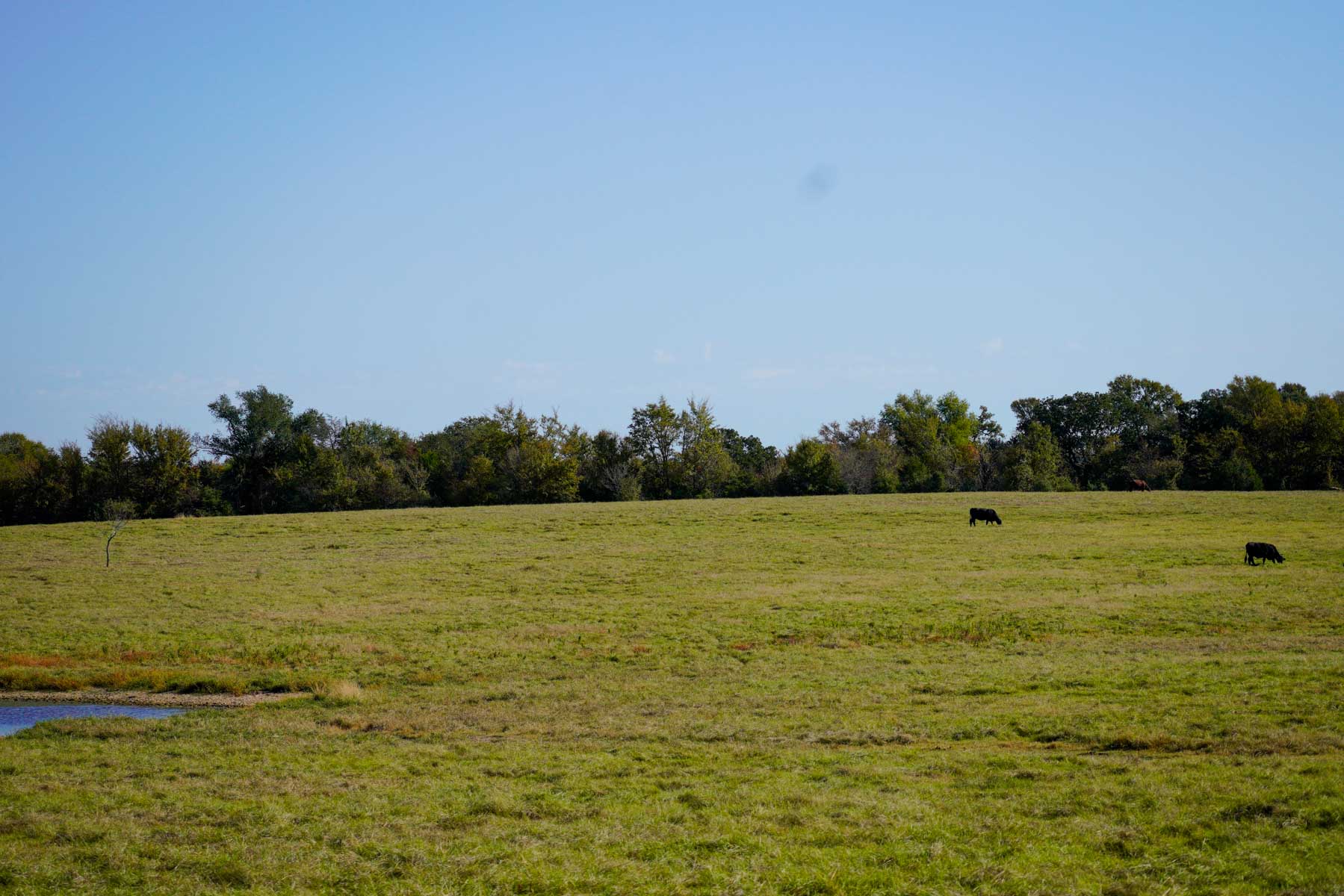 Long Hollow Ranch property picture 30 of 36
