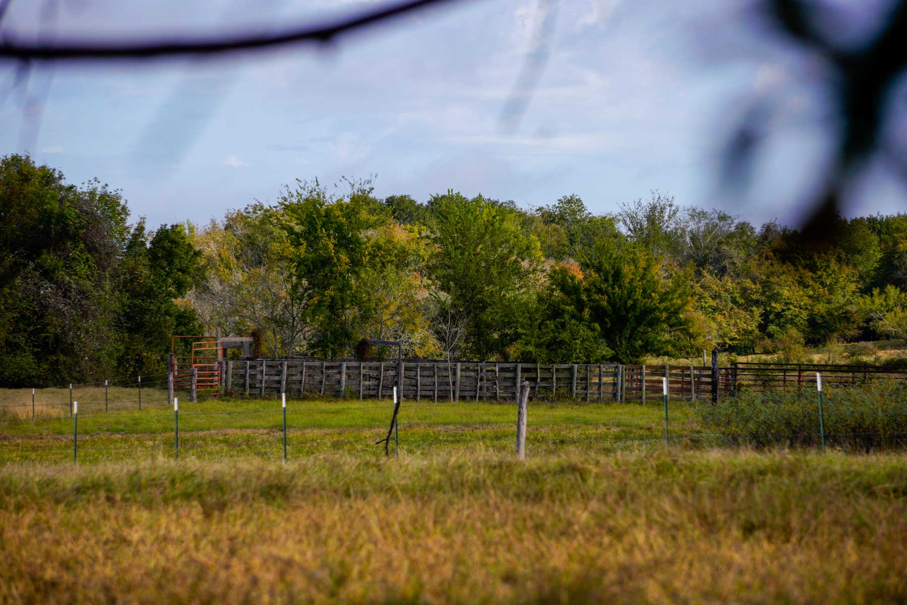 Long Hollow Ranch property picture 12 of 36